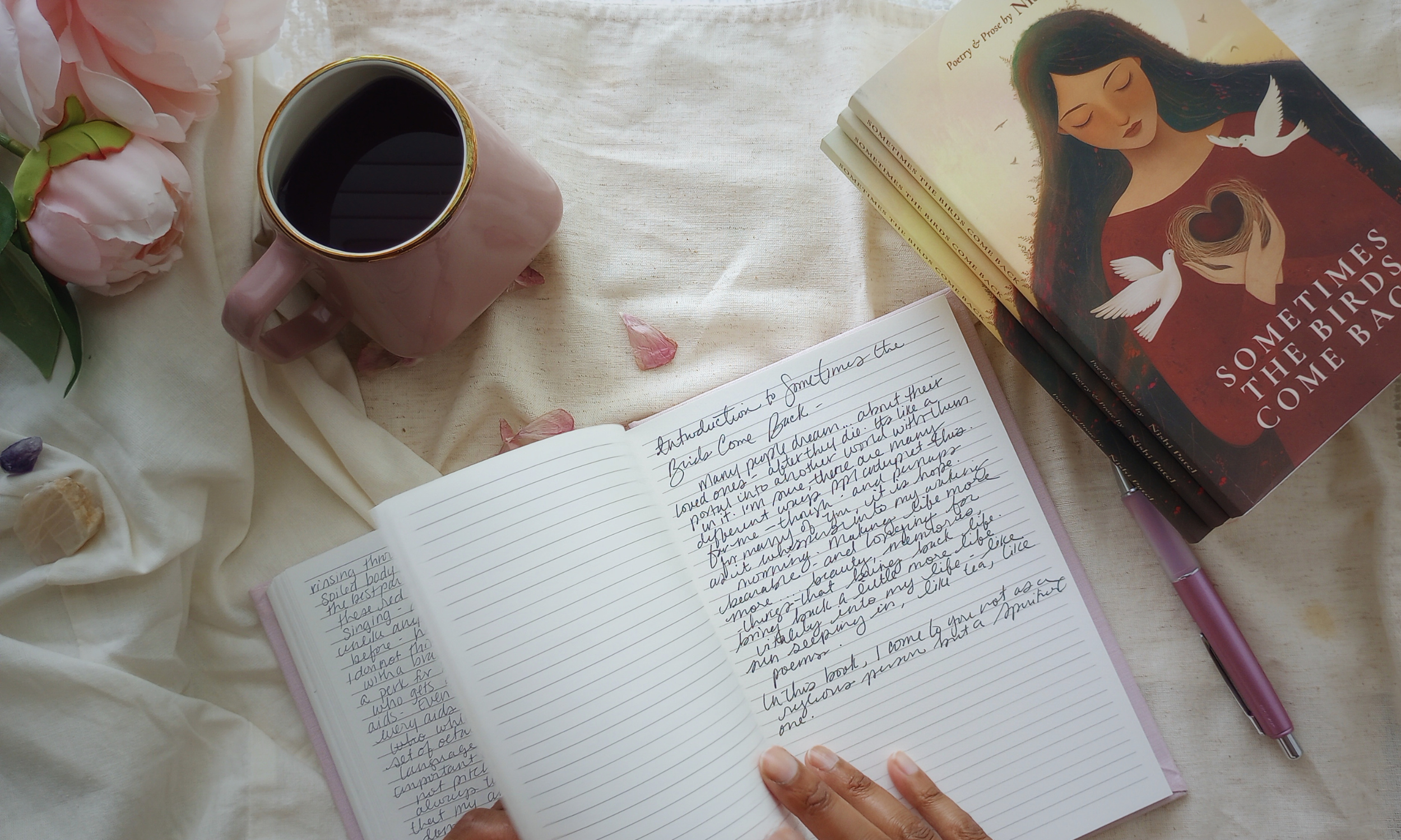 Sometimes the Birds Come Back | An Introduction