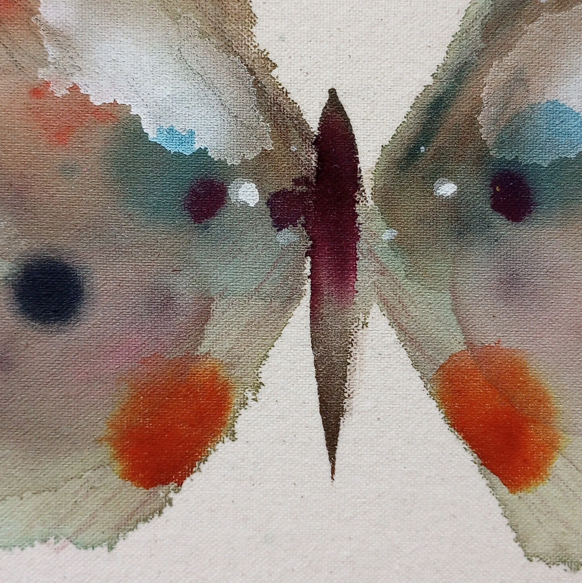 Butterfly1_closeup_center_wingsup.jpg