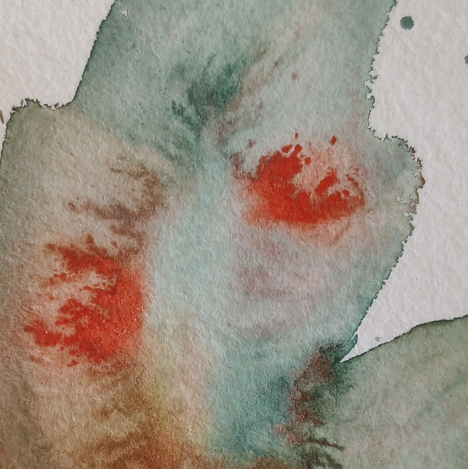 mothwing6_closeup.jpg