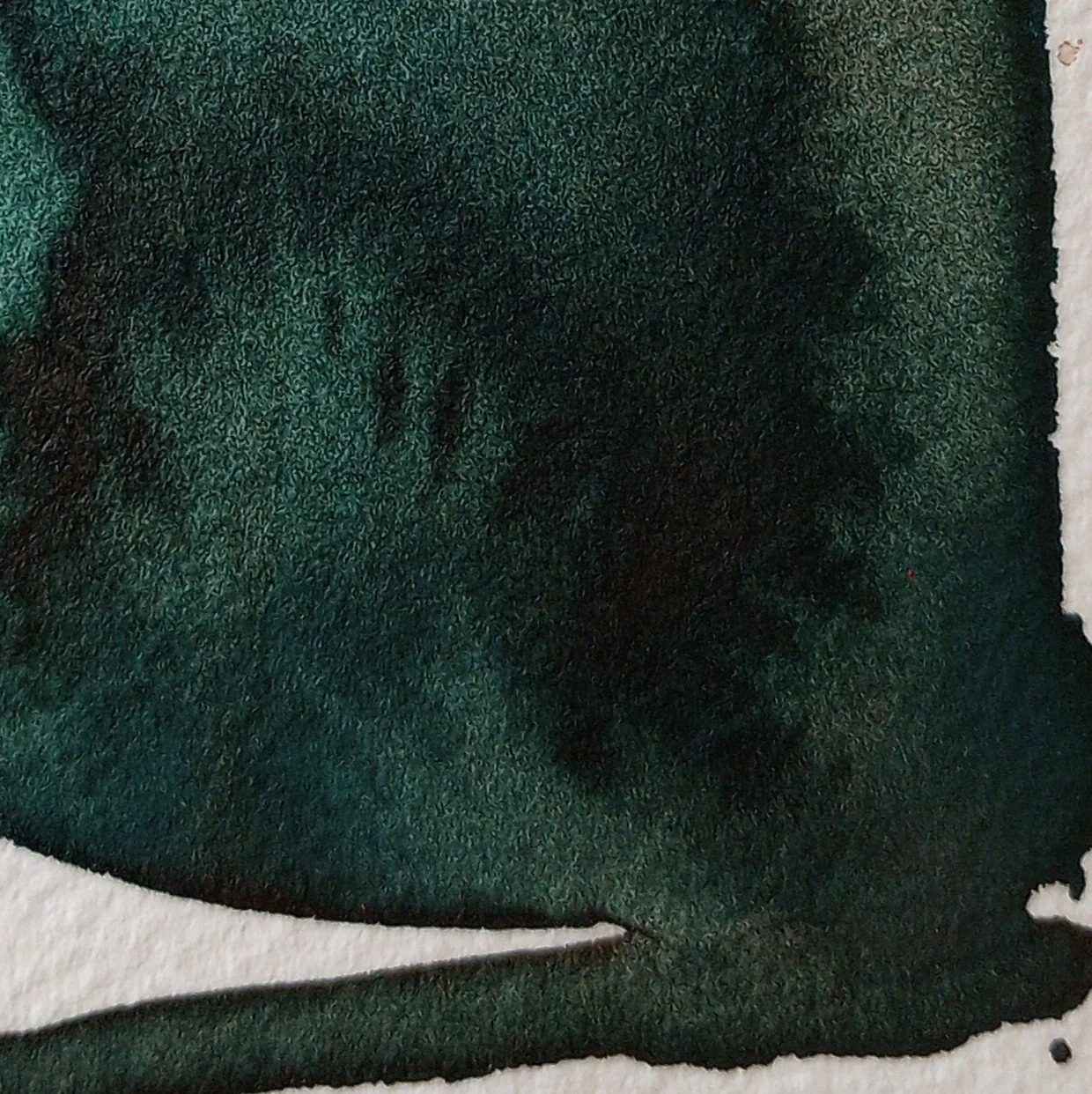 mothwing5_closeup.jpg