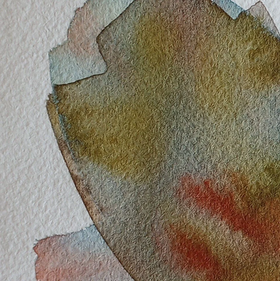 mothwing7_closeup.jpg