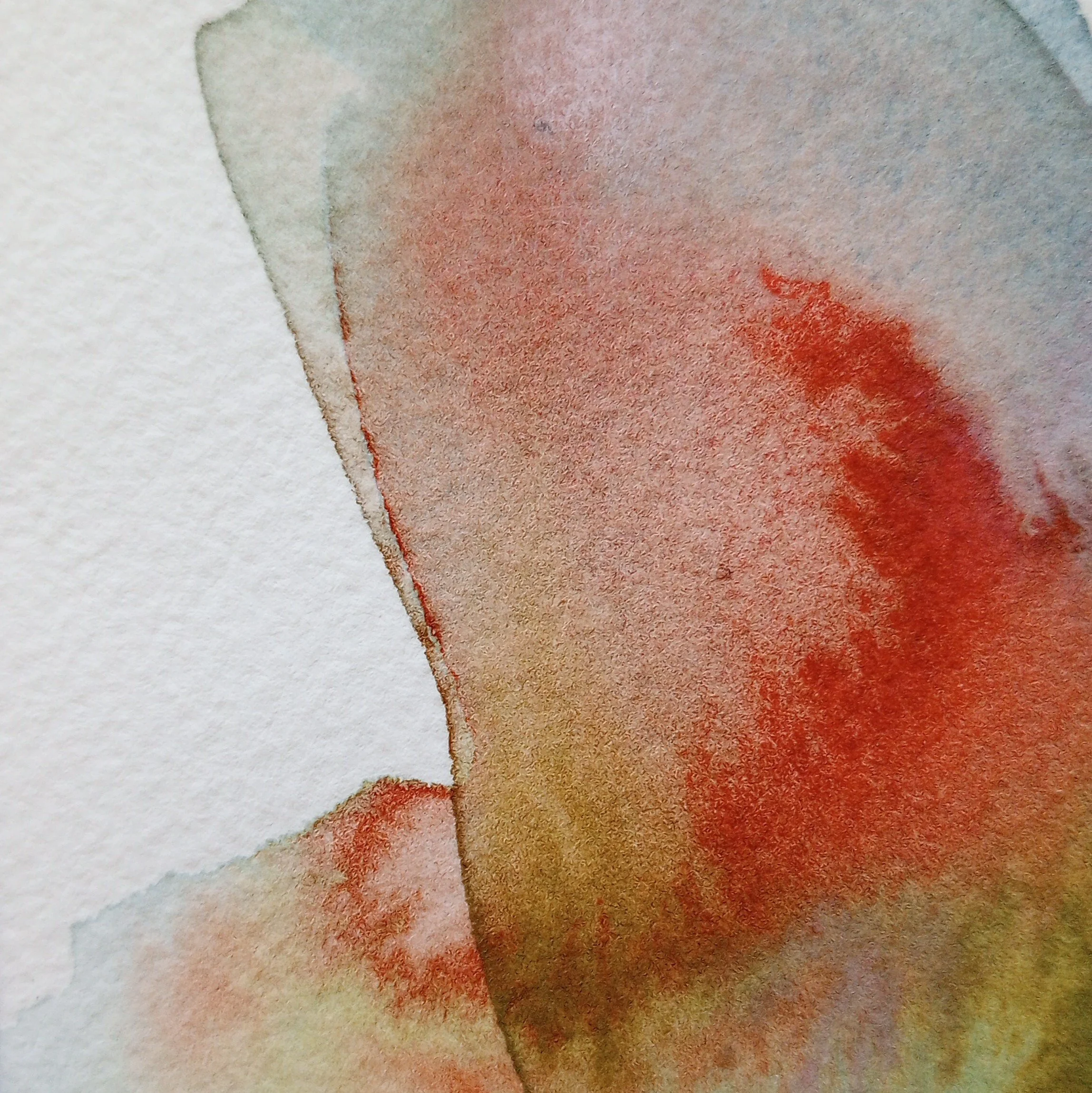 mothwing3_closeup.jpg