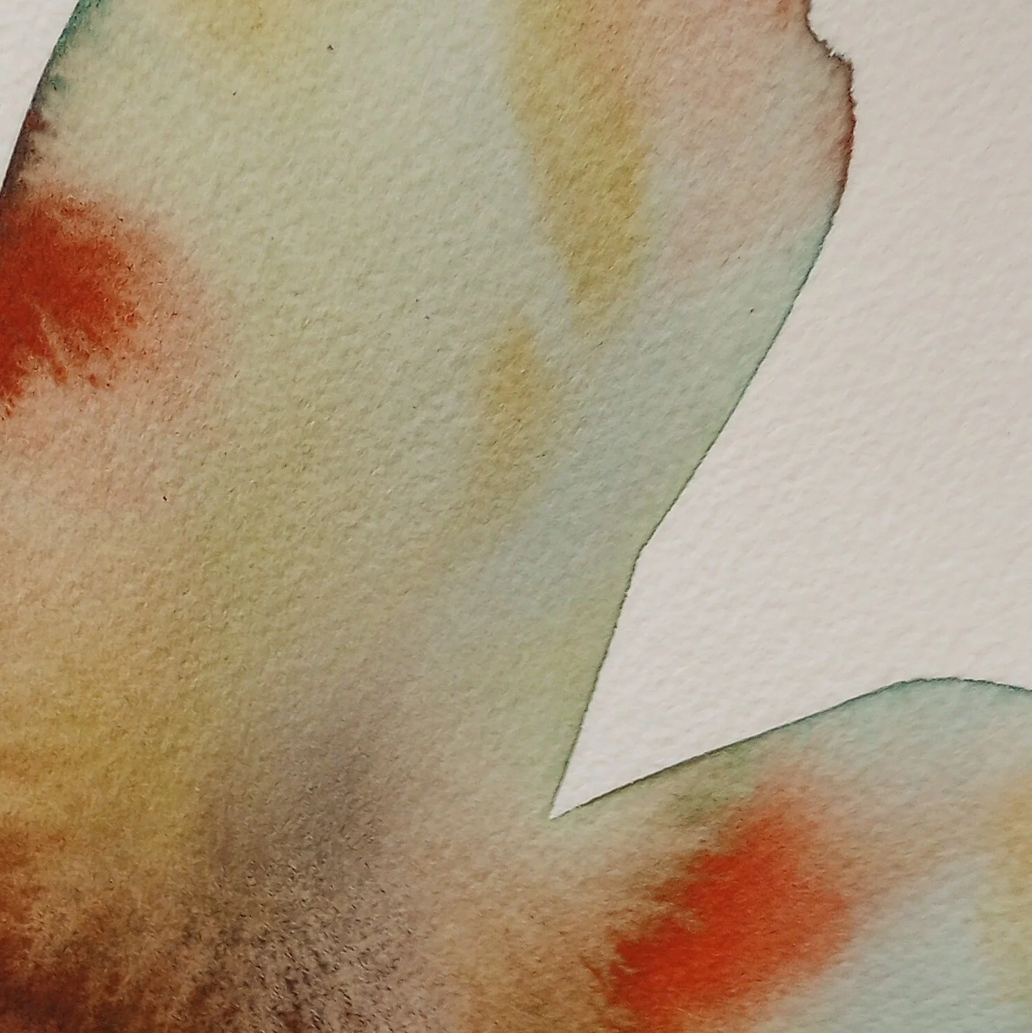 mothwing8_closeup.jpg