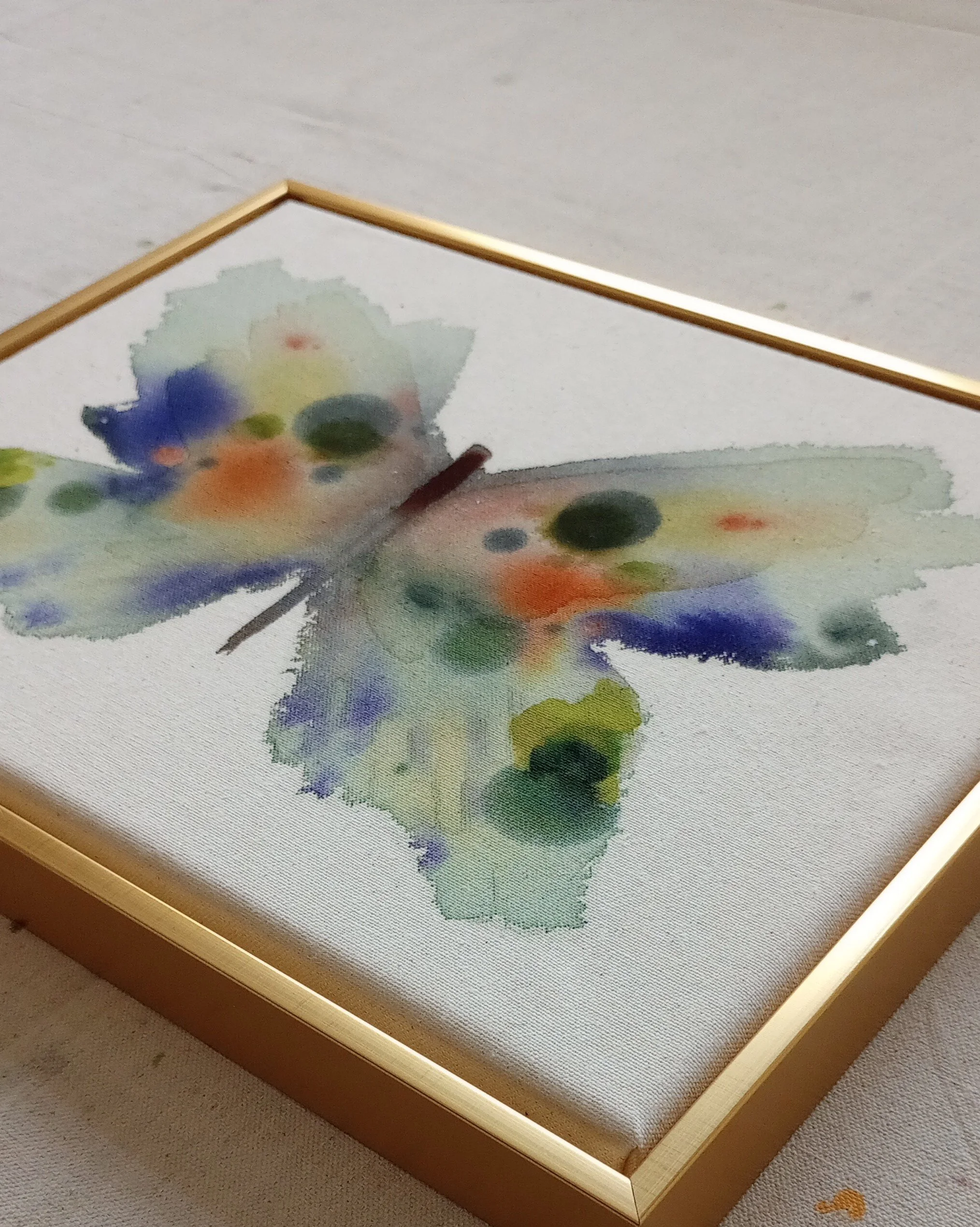 butterfly2_4x5pic.jpg