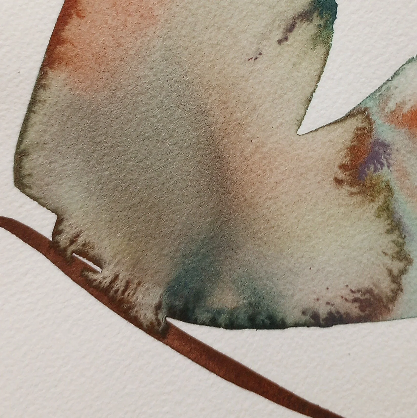 mothwing9_closeup.jpg