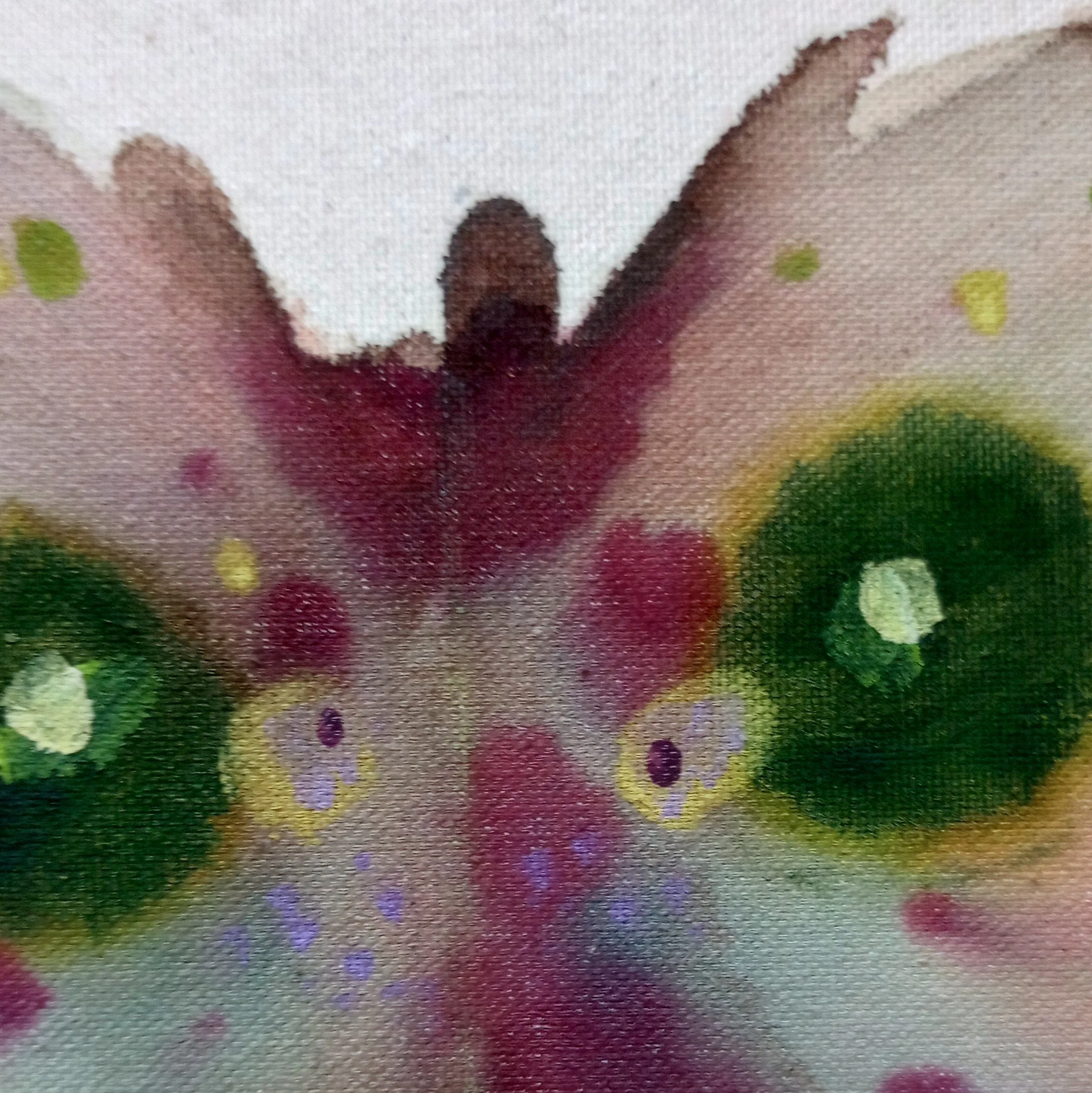 Butterfly3_closeup_center.jpg