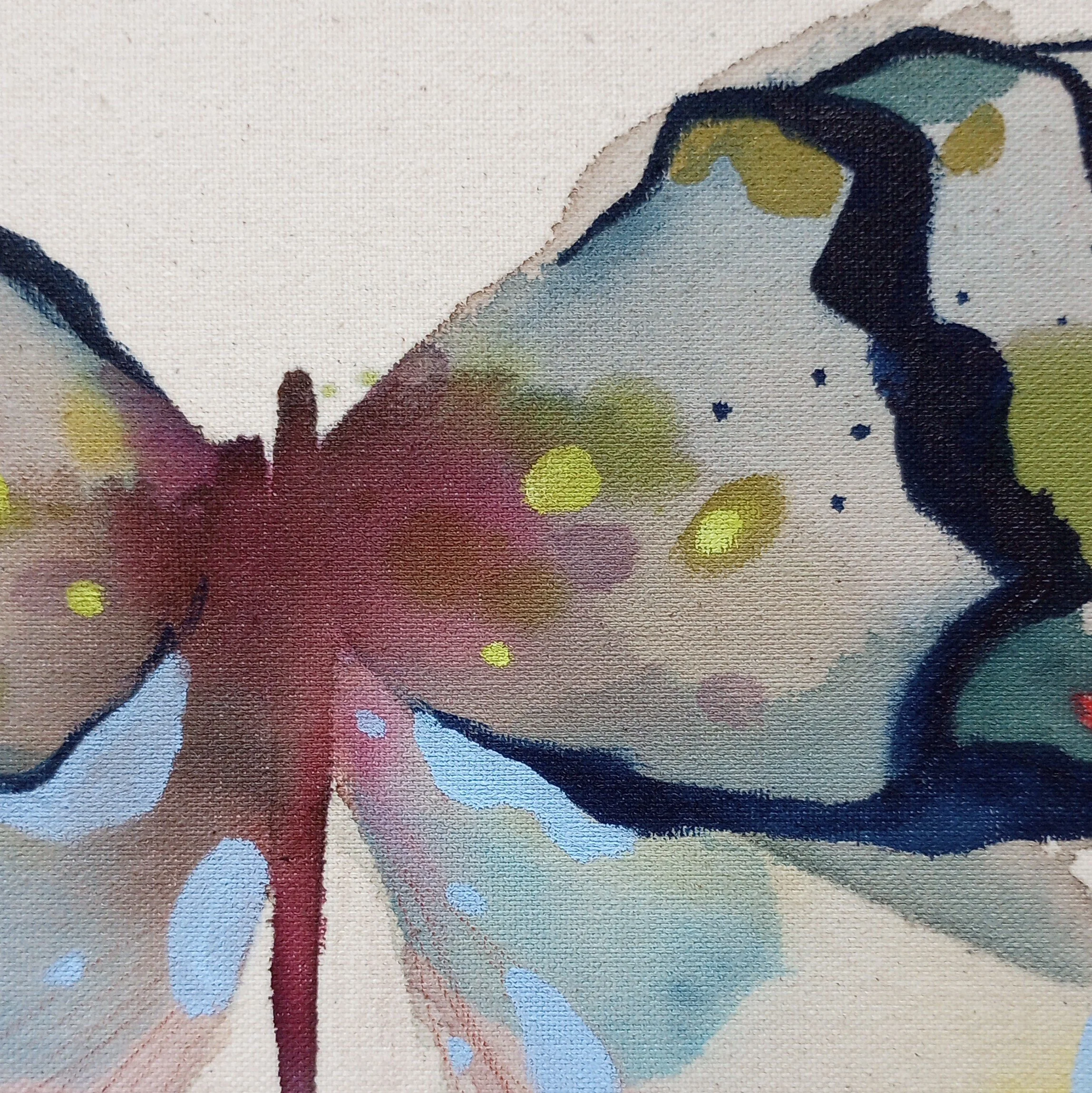 Butterfly4_closeup_center.jpg