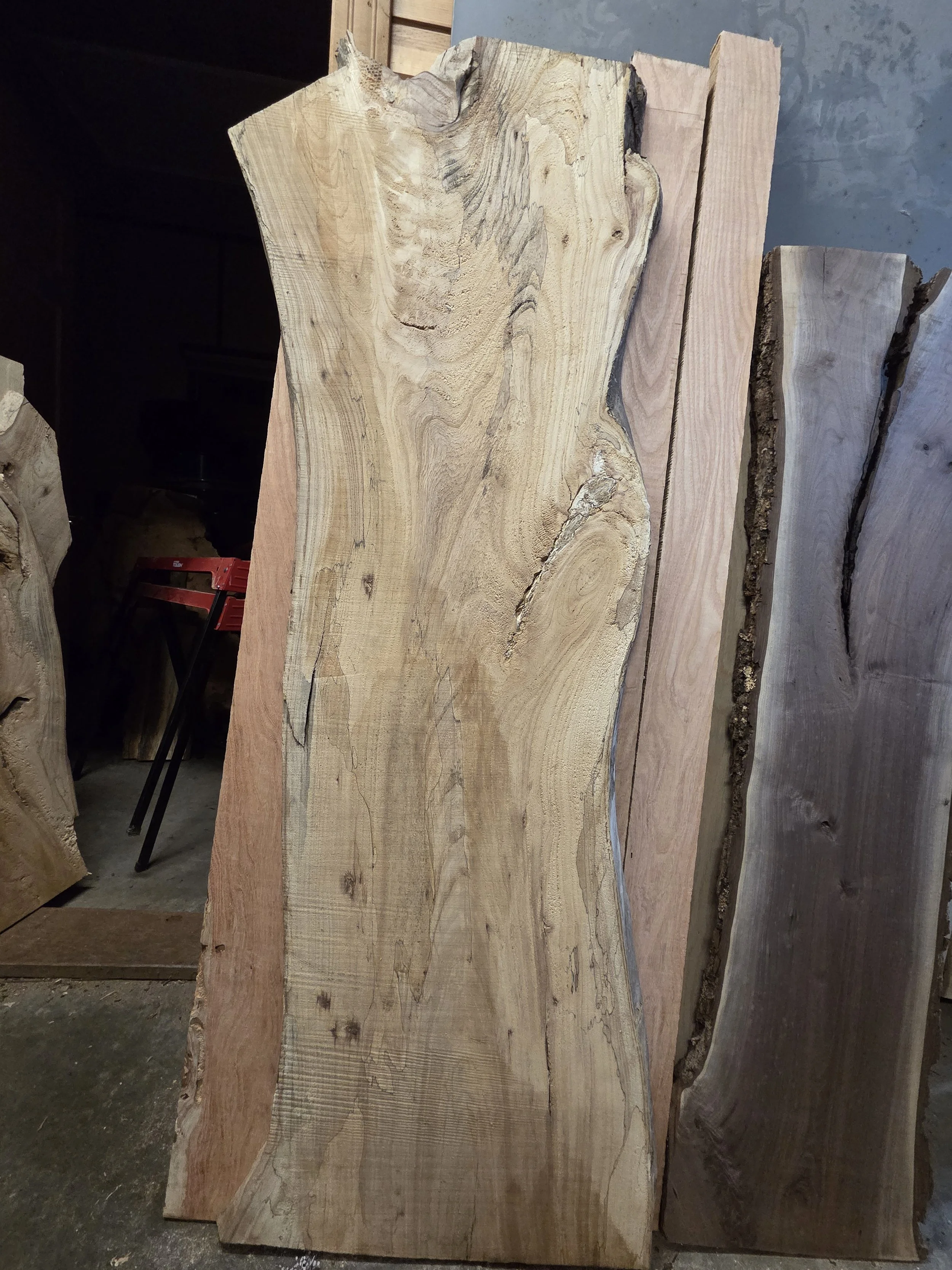 #4049 Spalted Chinese Elm