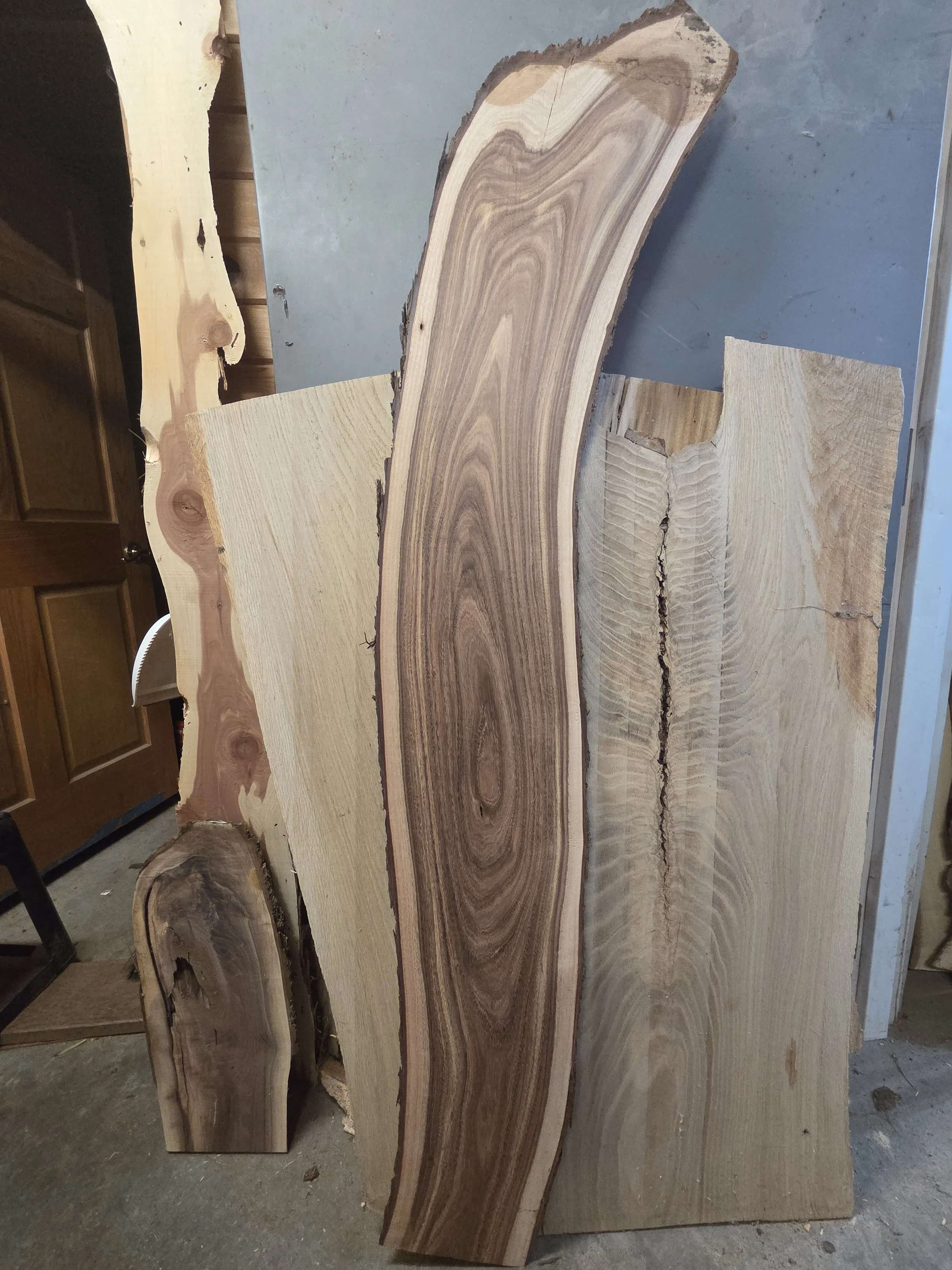 #3983 Black Acacia
