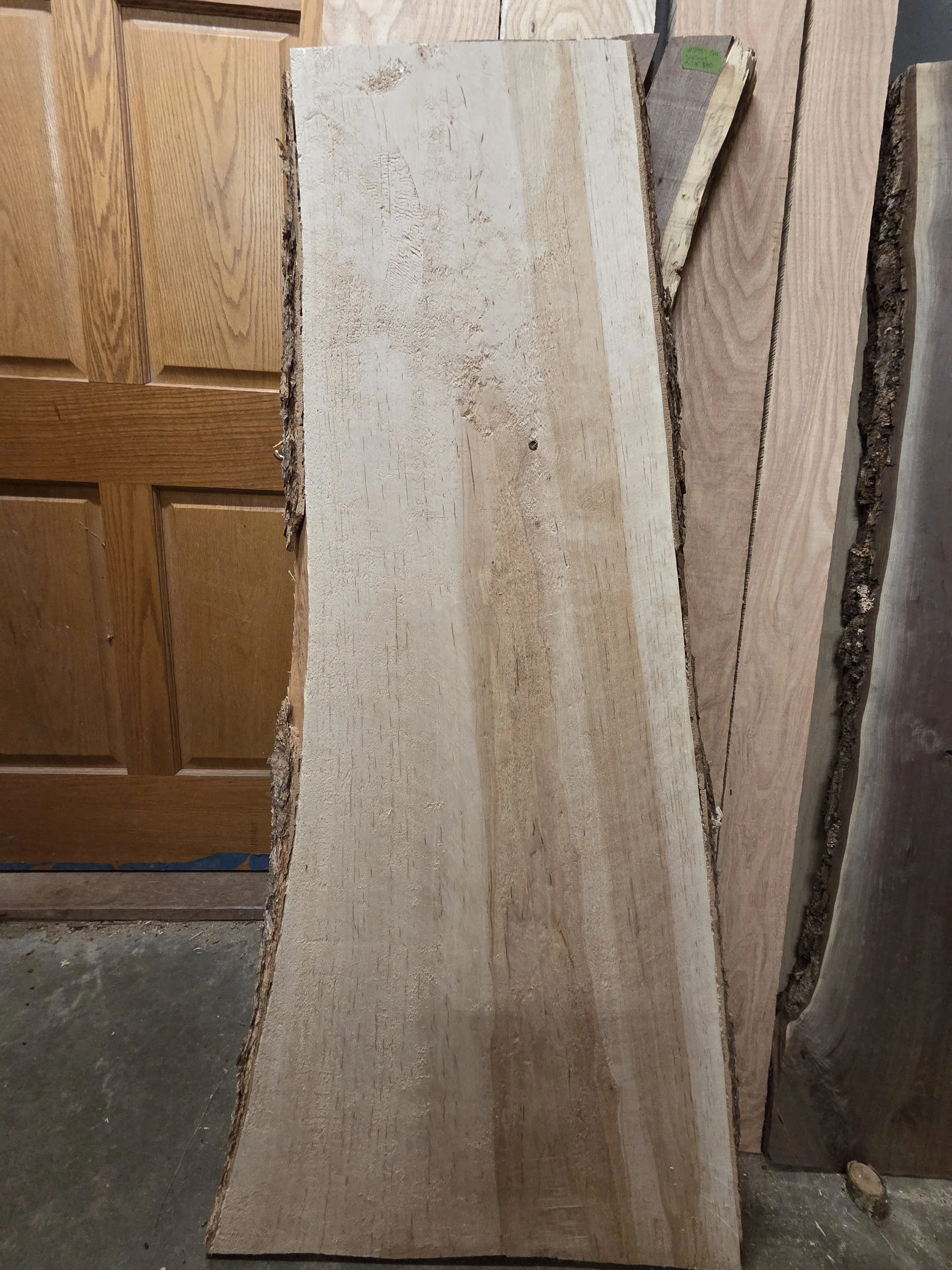 #4058 Swamp Birch