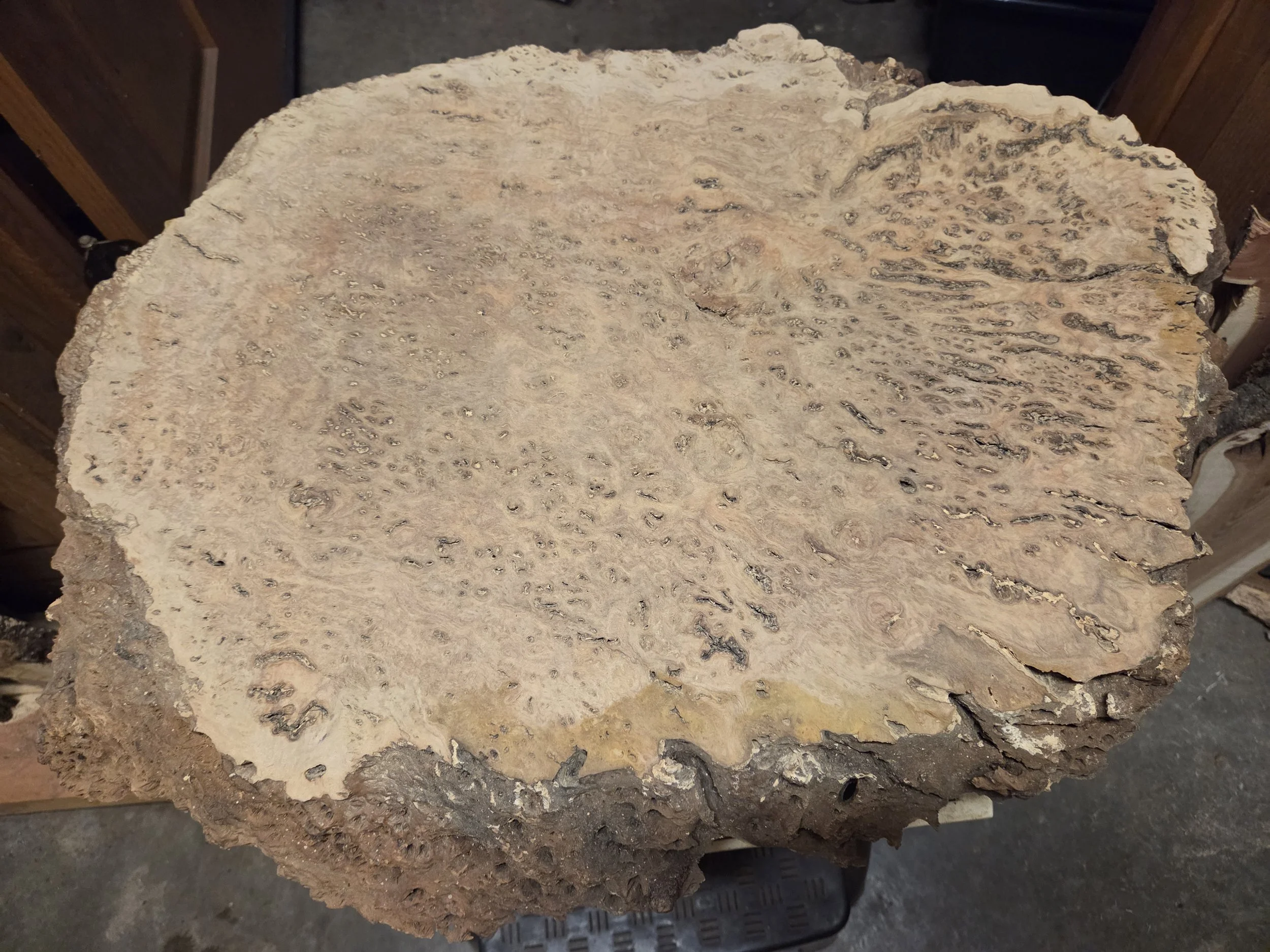 #3996 Yellow Box Eucalyptus Burl