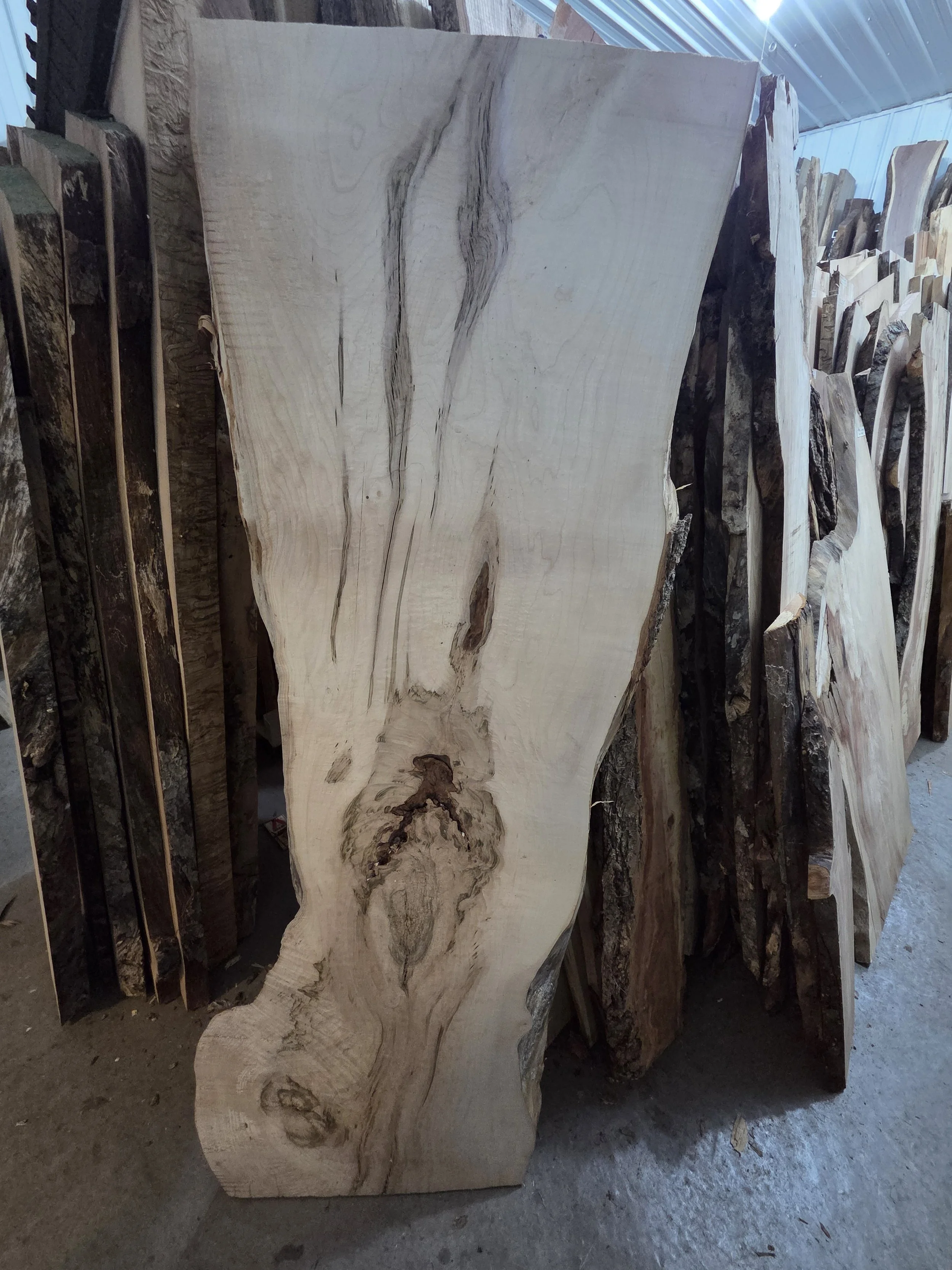 #4022 Hard Maple