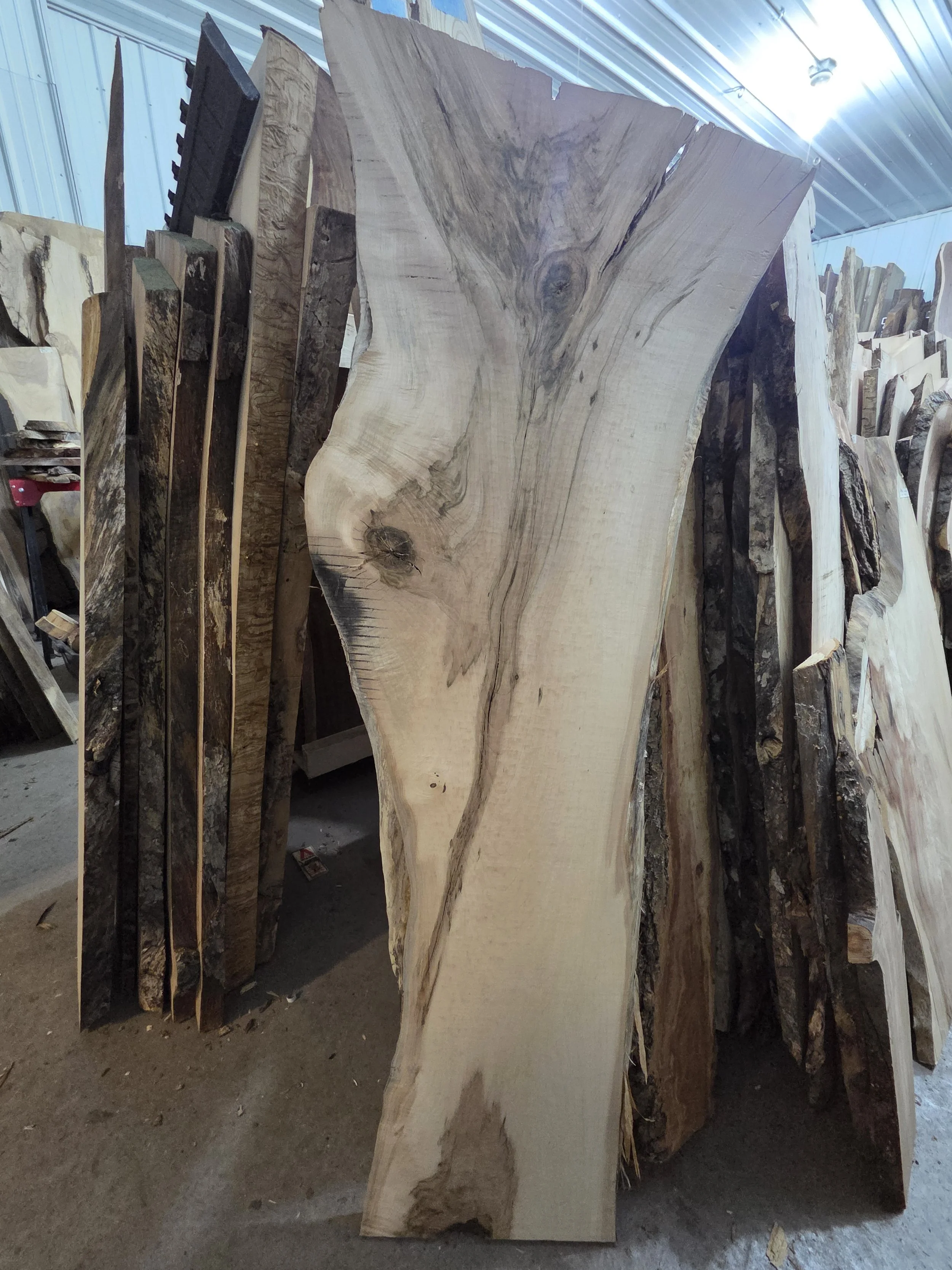#4024 Hard Maple