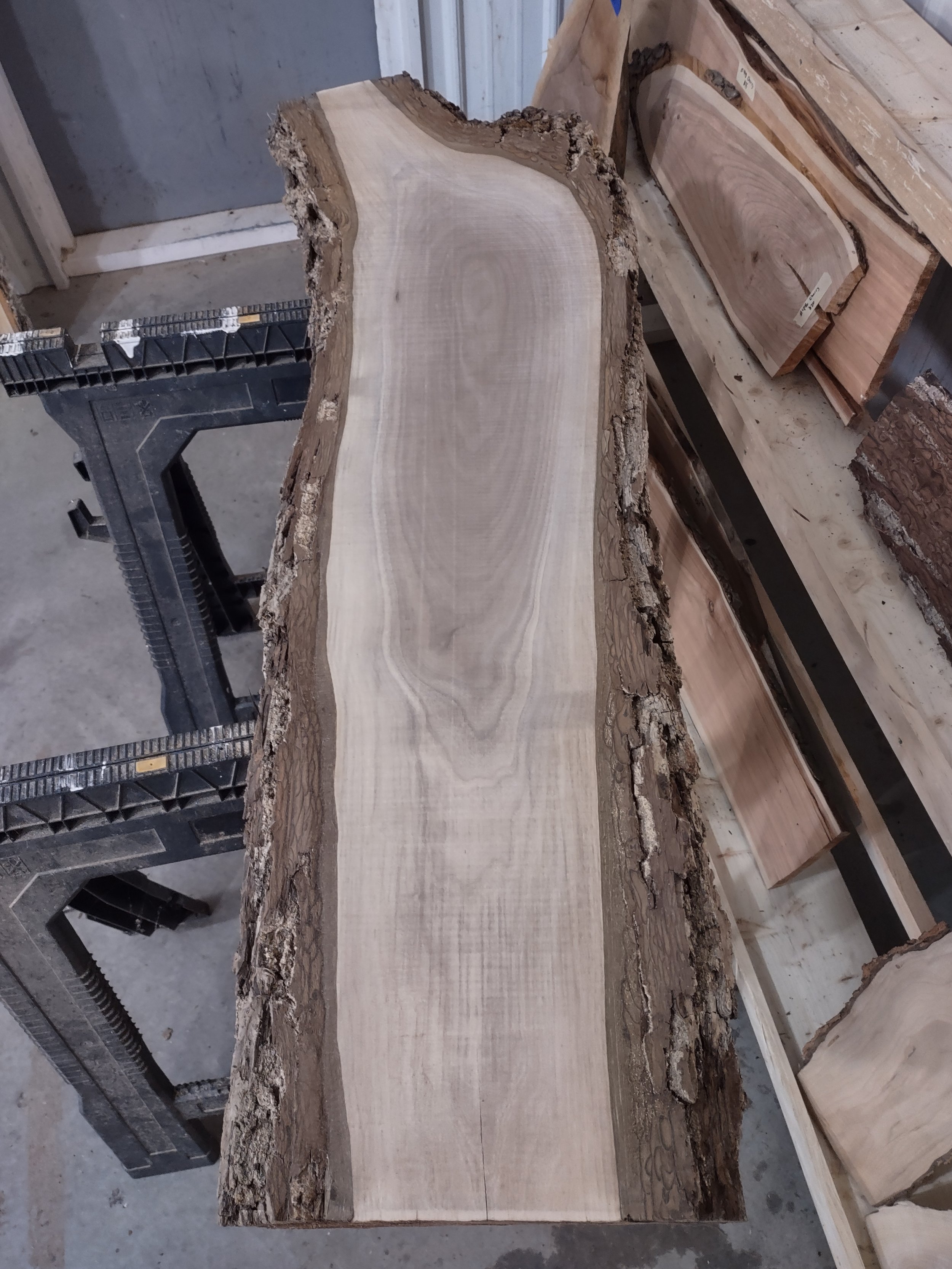 #545 Black Walnut