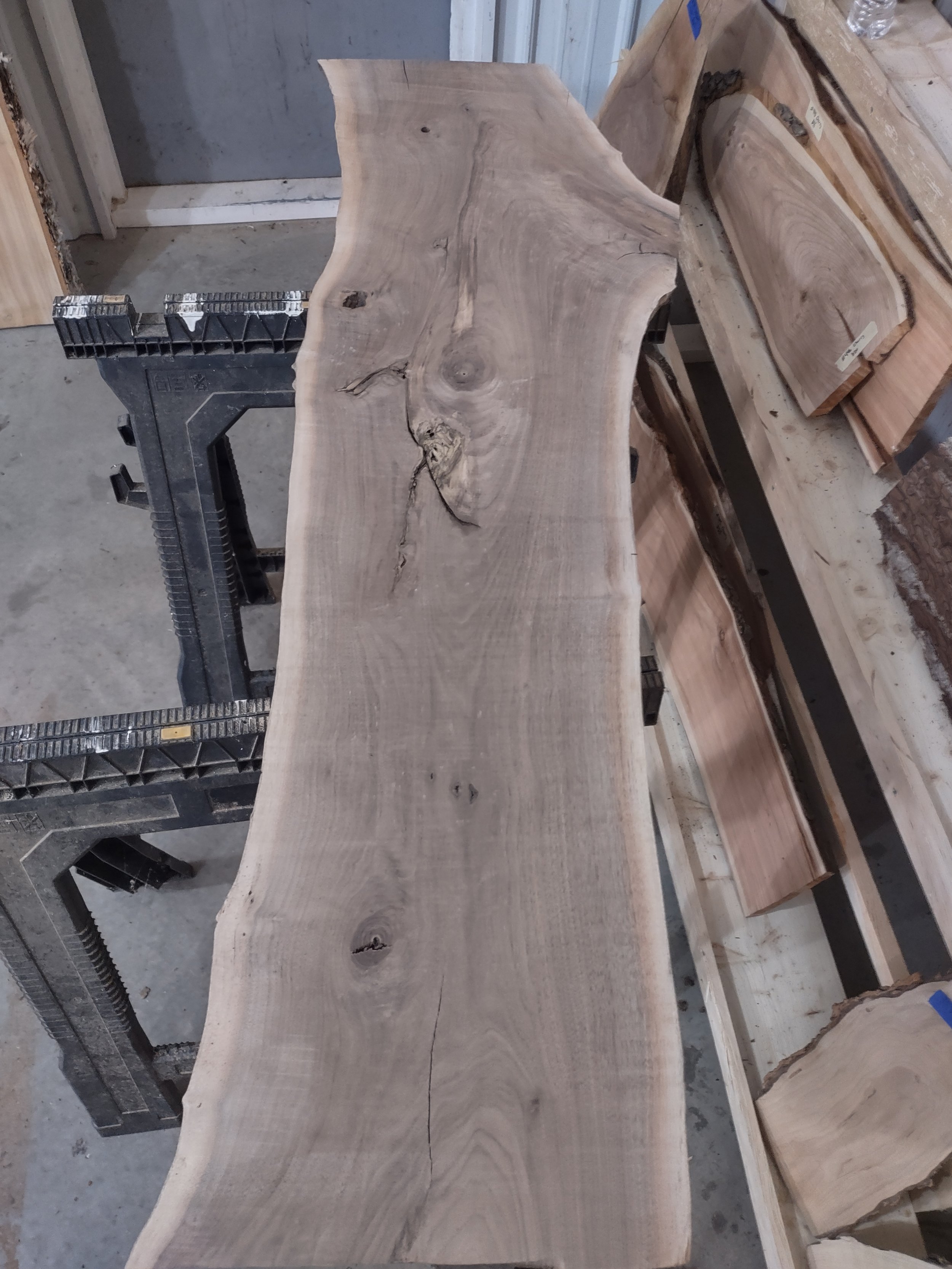 #547 Black Walnut