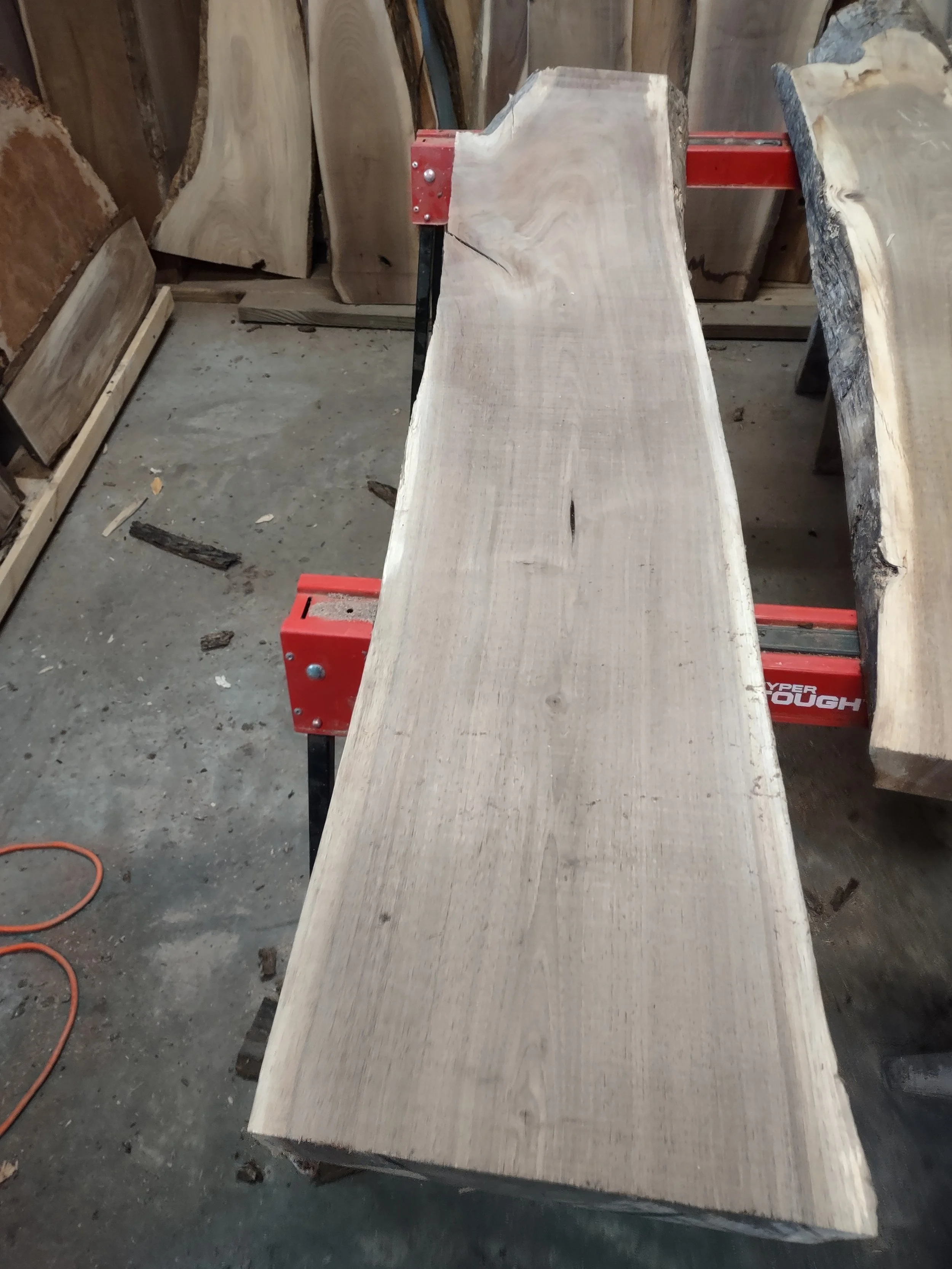 #837 Black Walnut