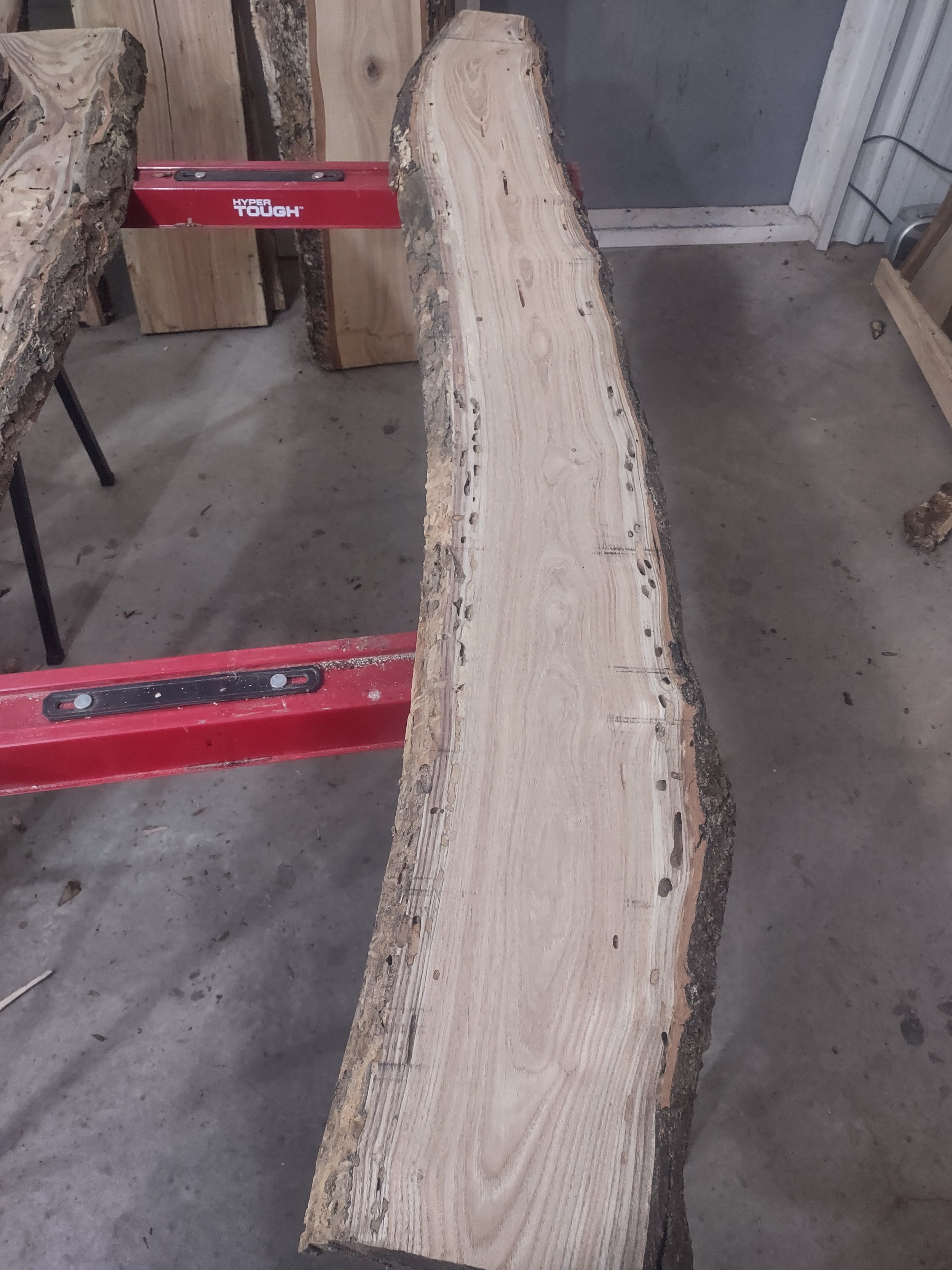 #1112 Honey Locust