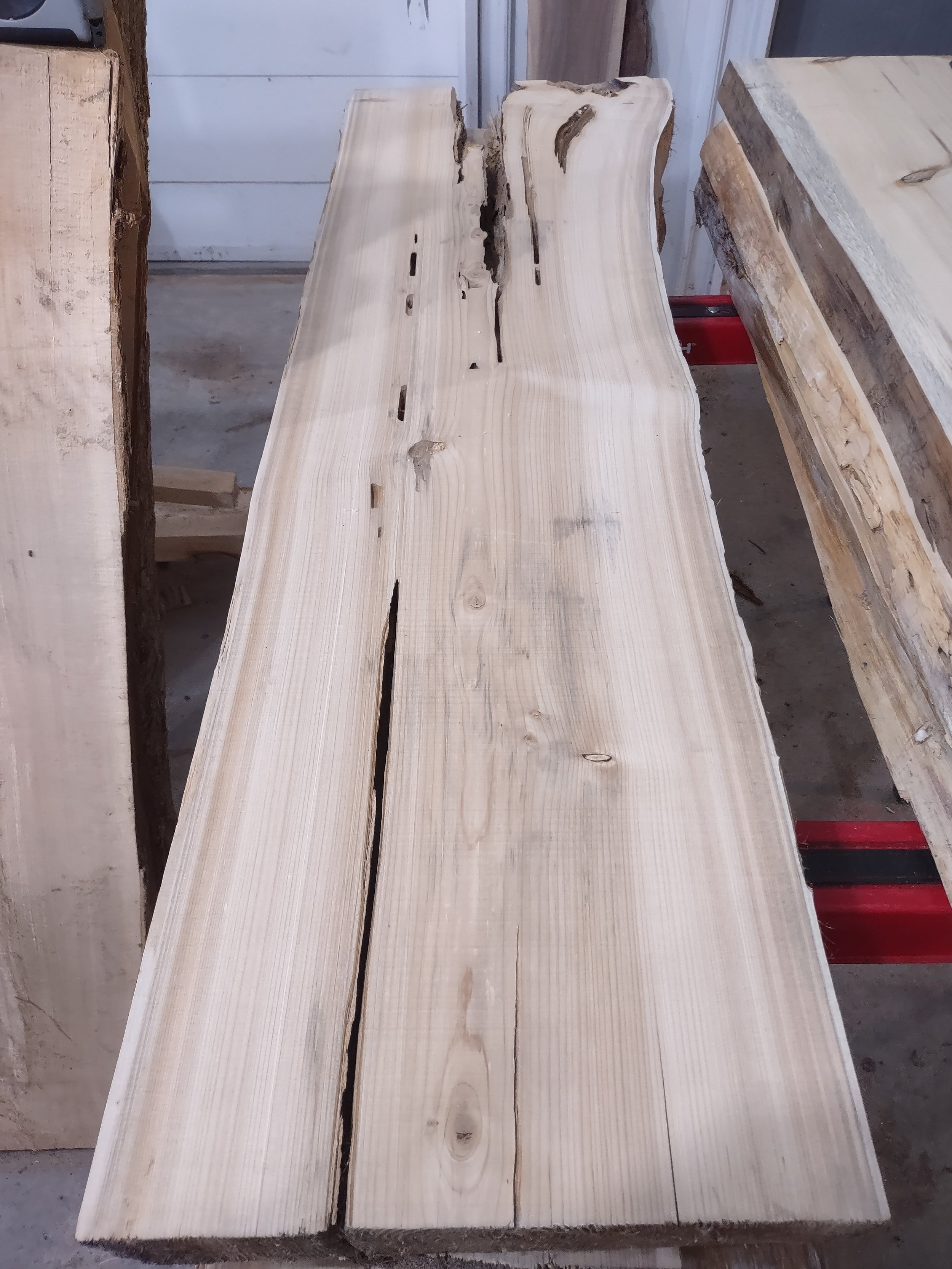 #1131 White Cedar