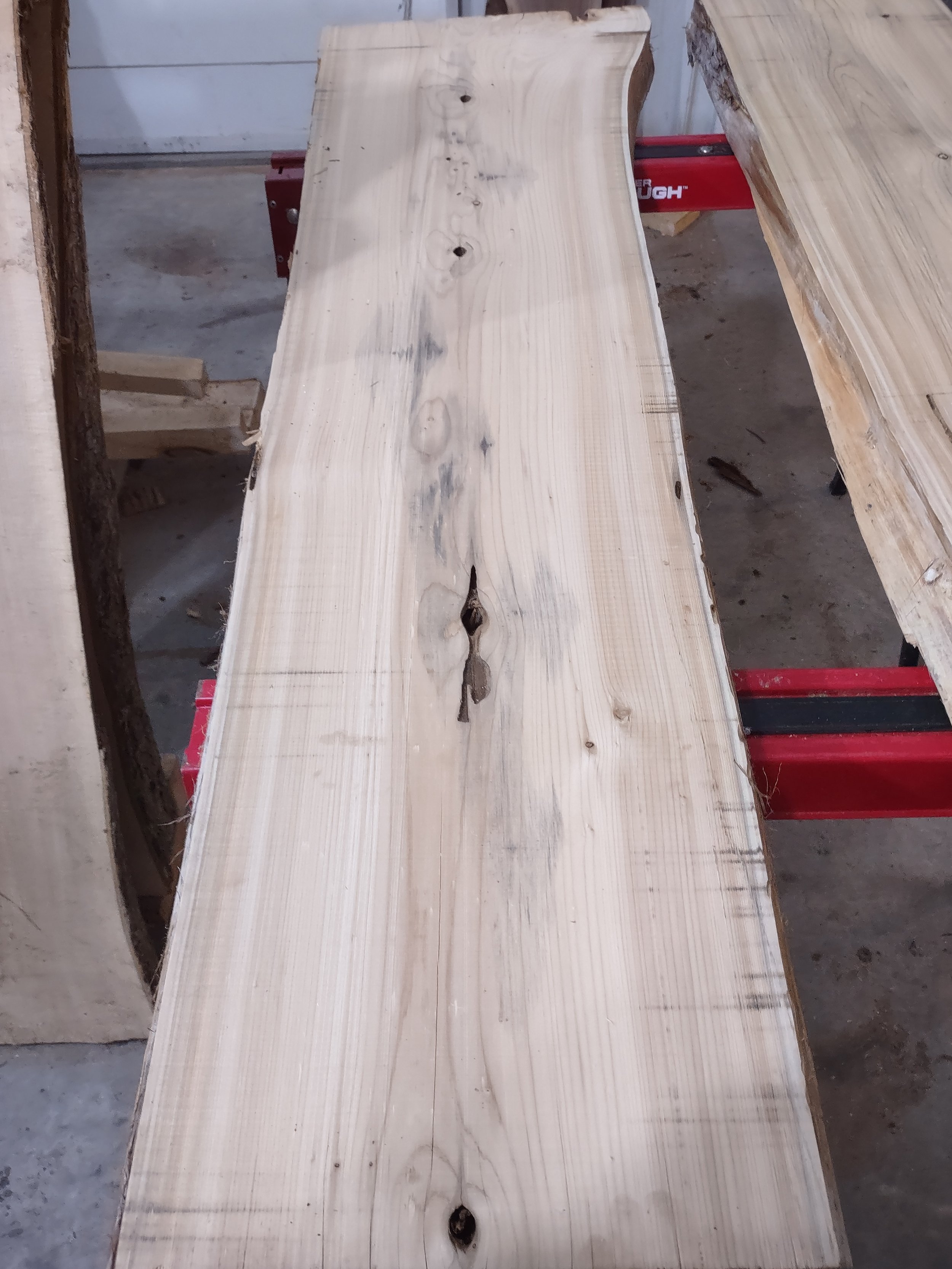 #1135 White Cedar