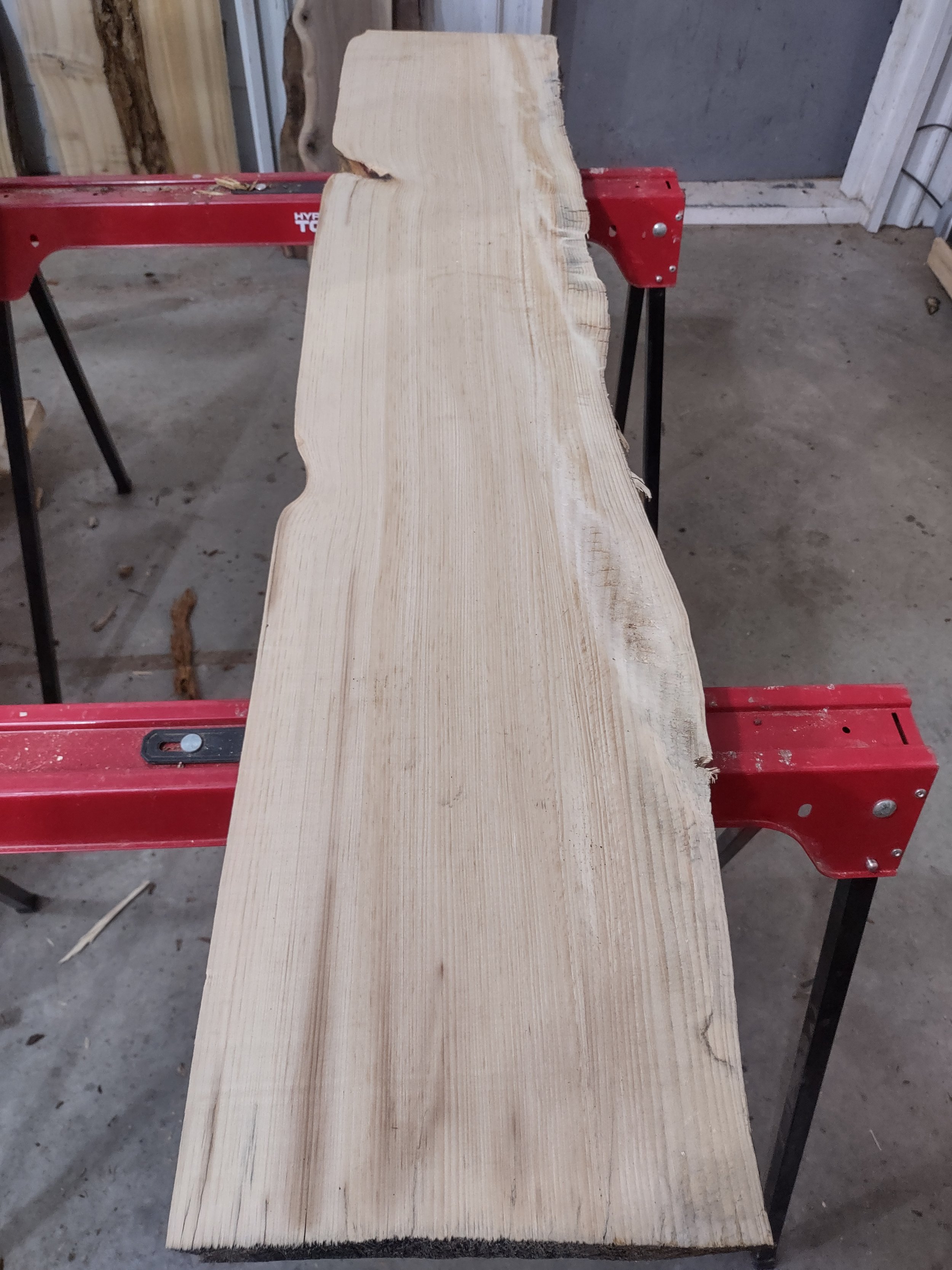 #1139 White Cedar