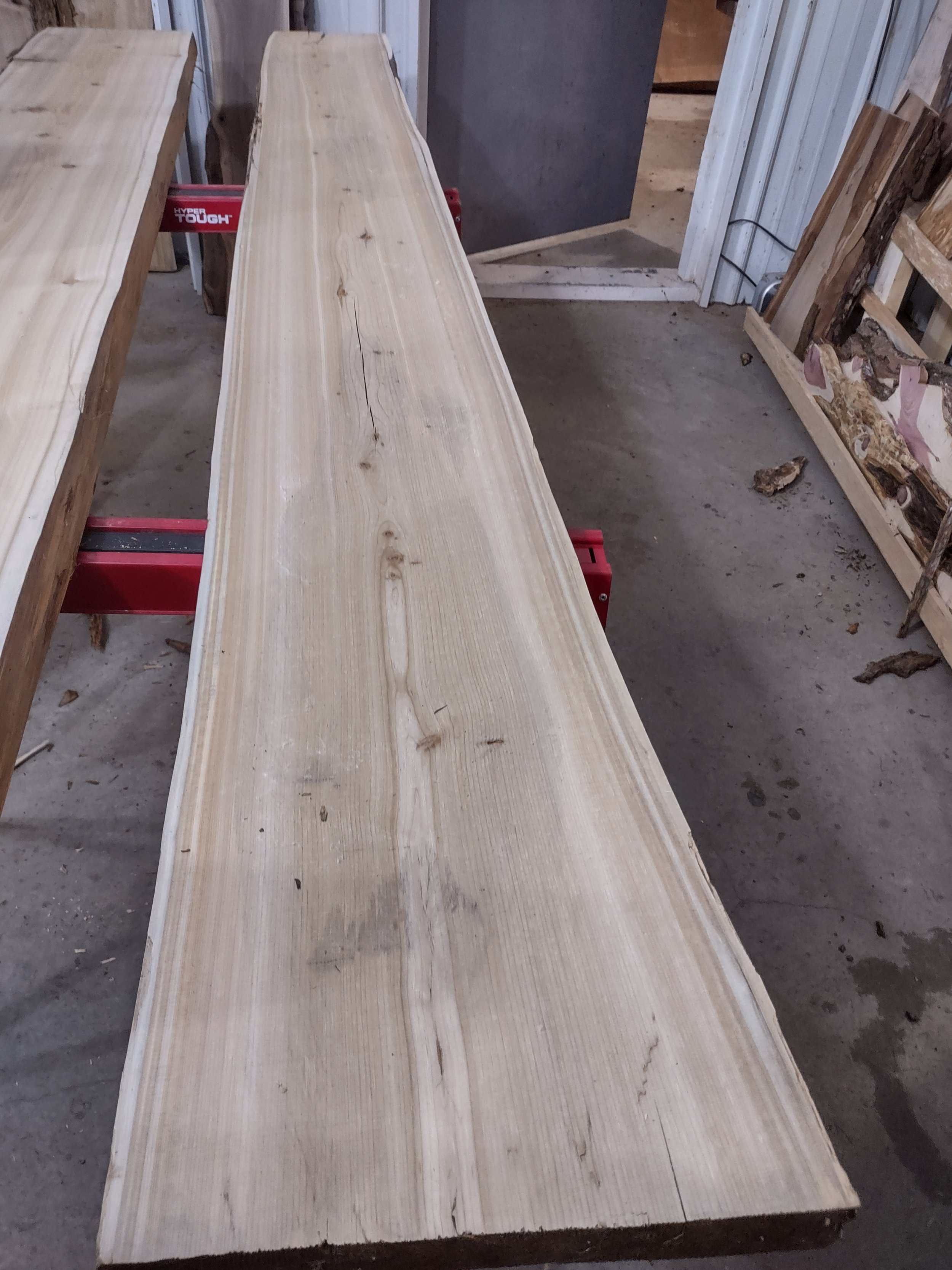 #1144 White Cedar
