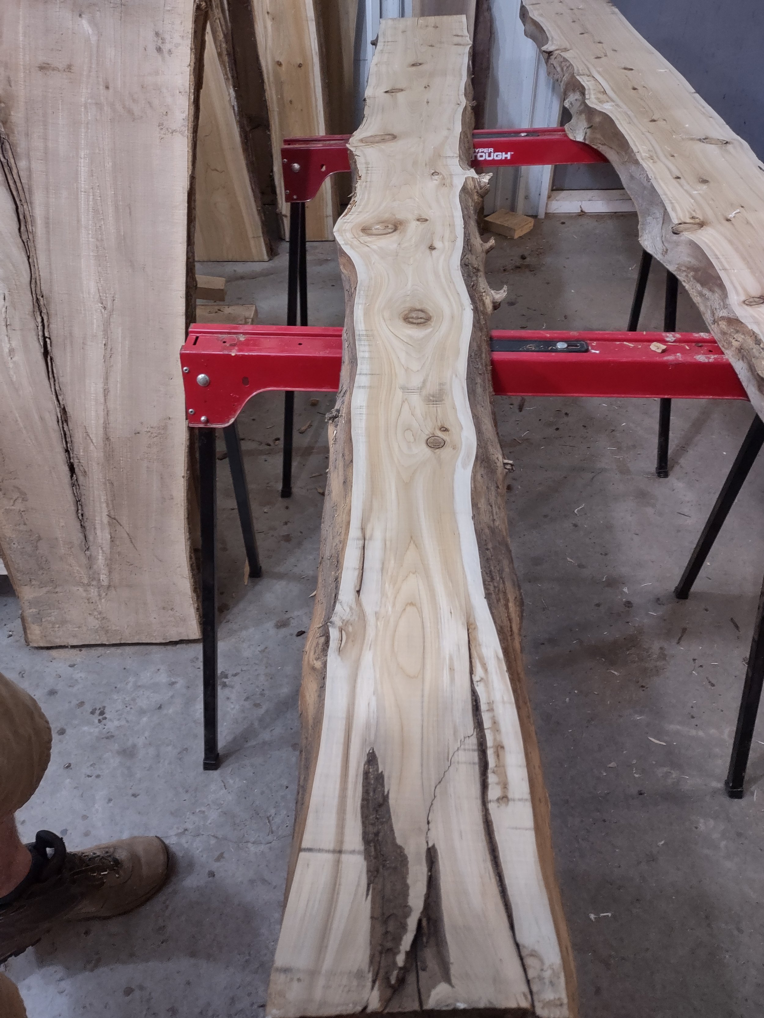 #1152 White Cedar