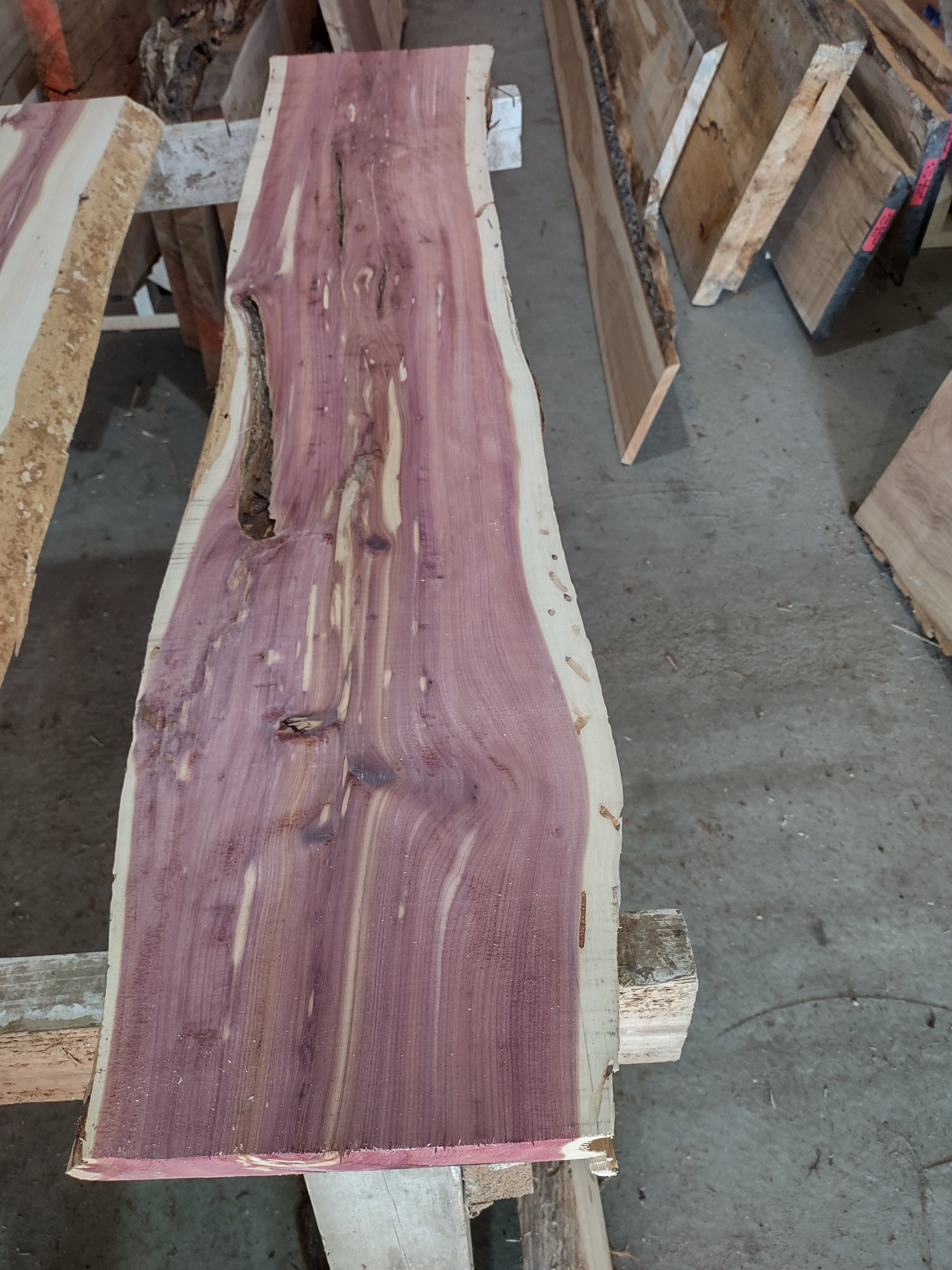 #1181 Red Cedar