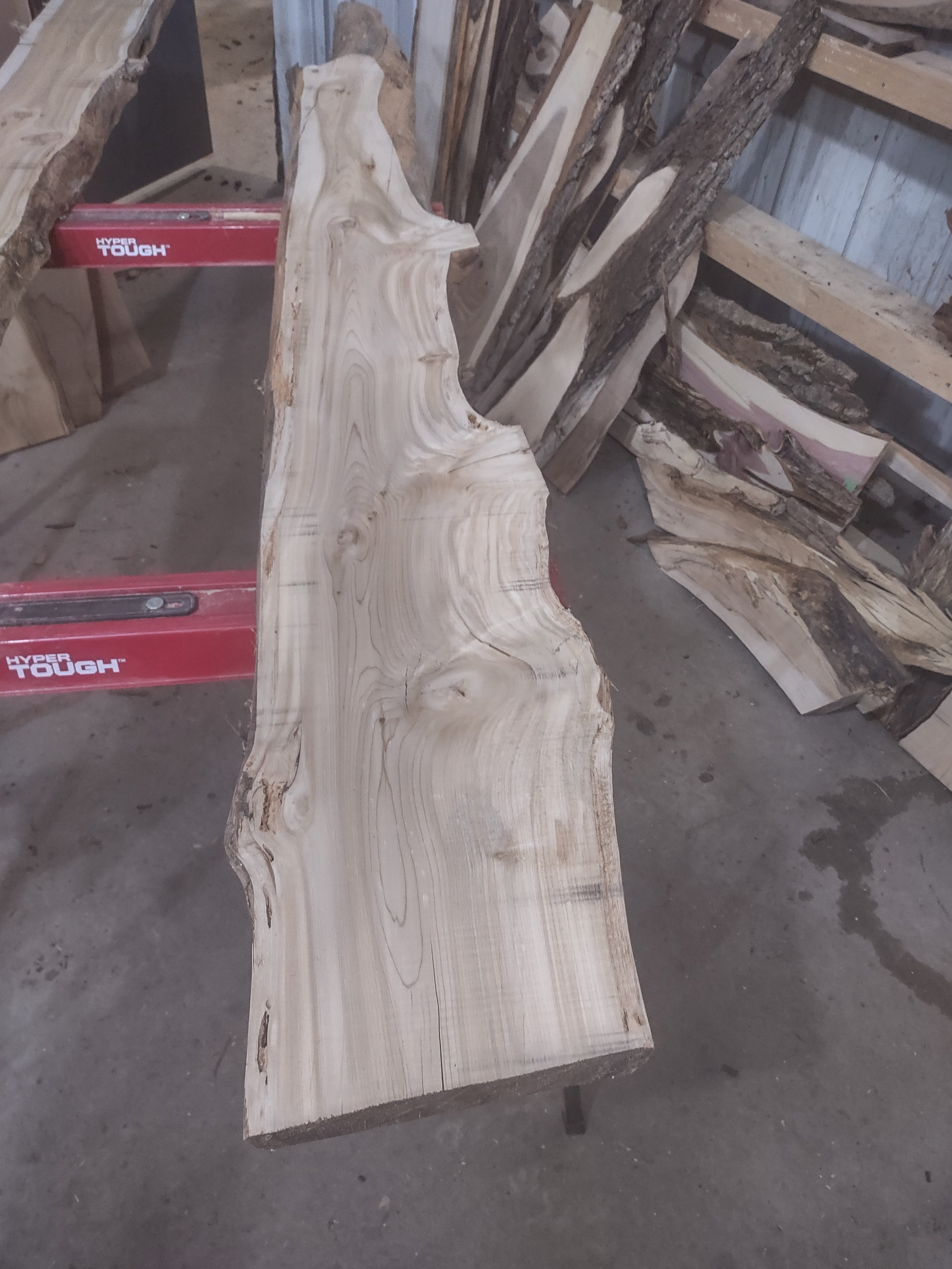 #1223 White Cedar