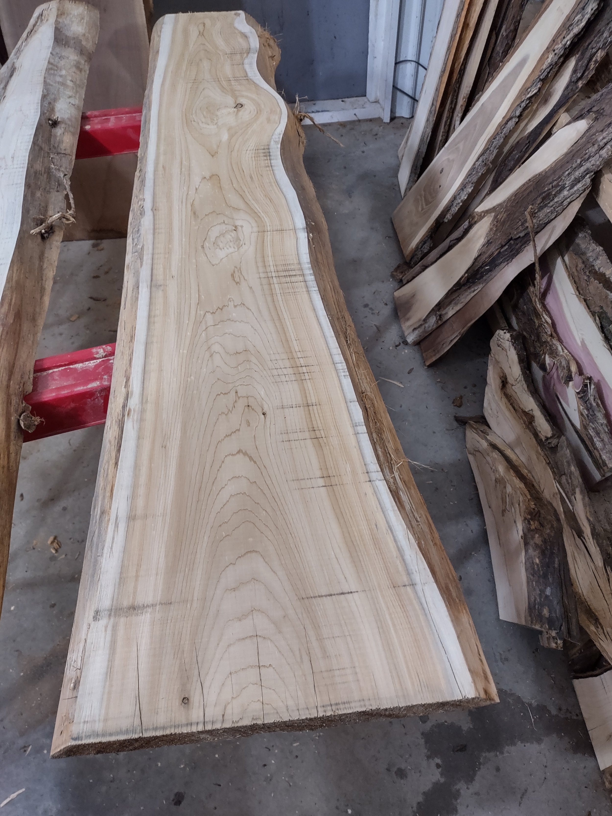 #1246 White Cedar