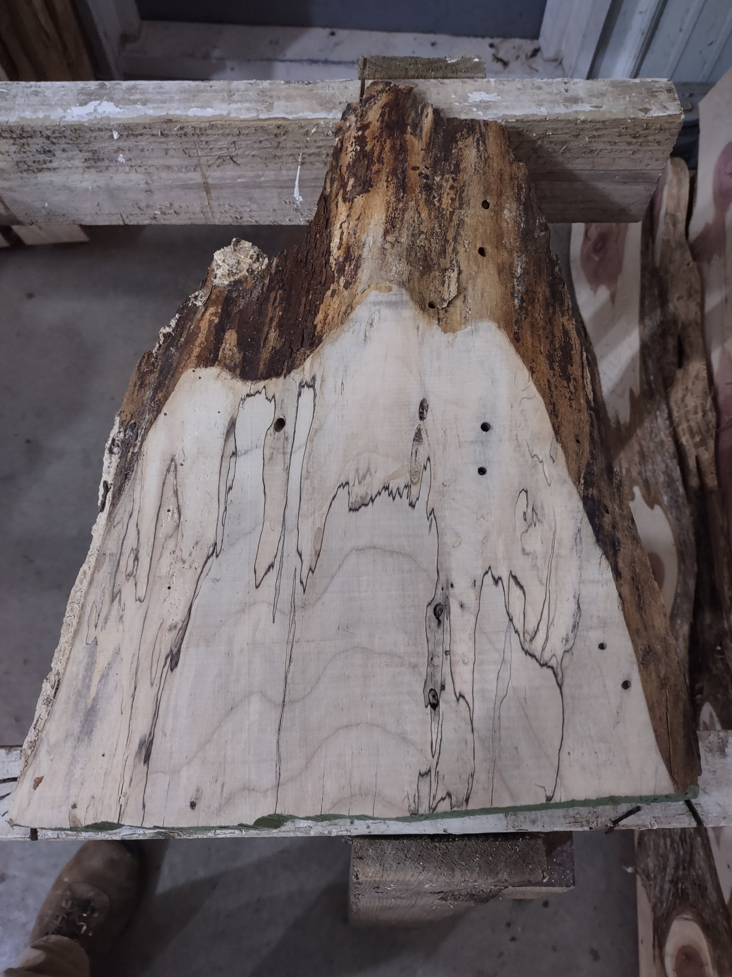 #1555 Silver Maple with spalting