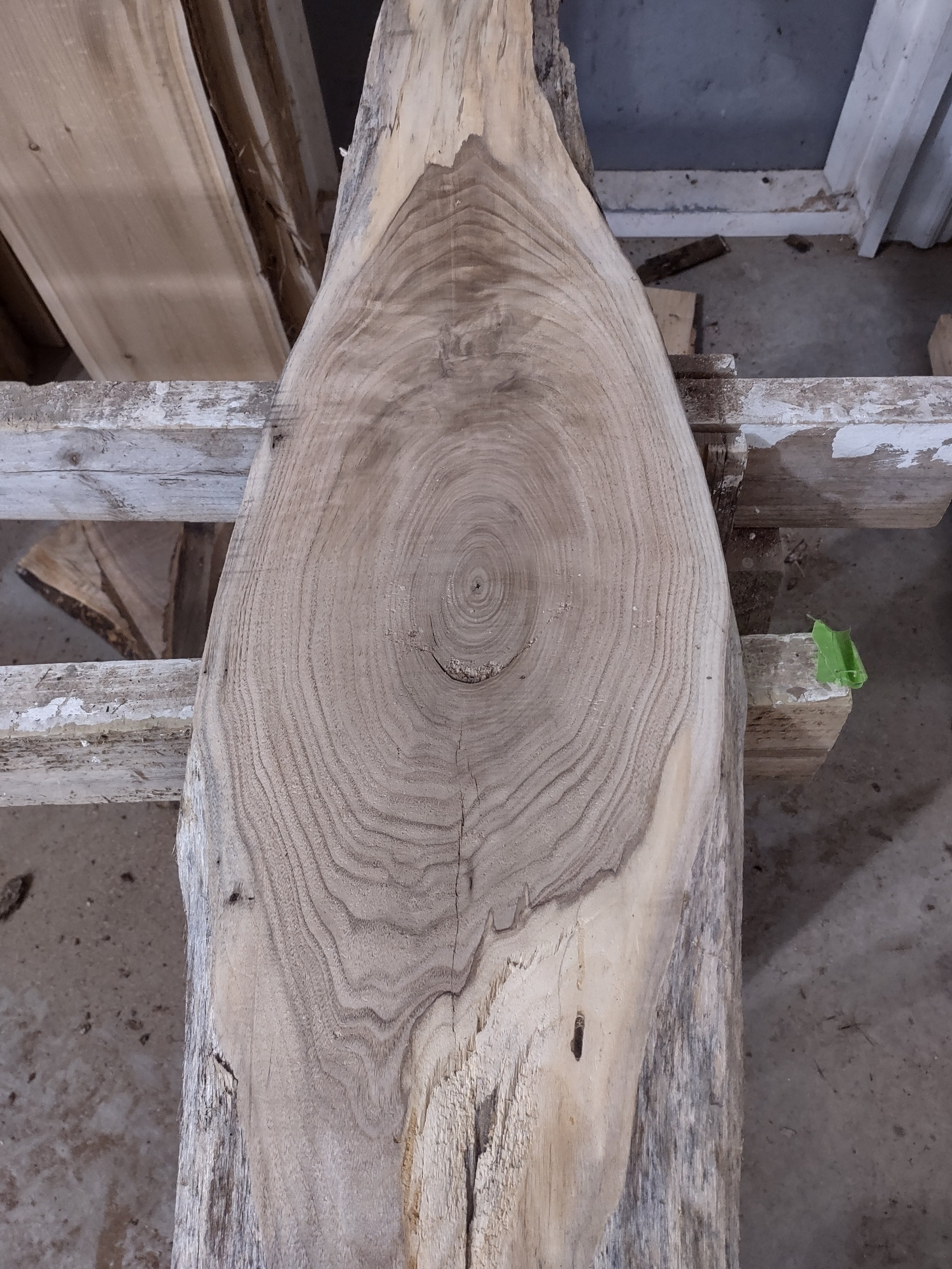 #1850 Butternut
