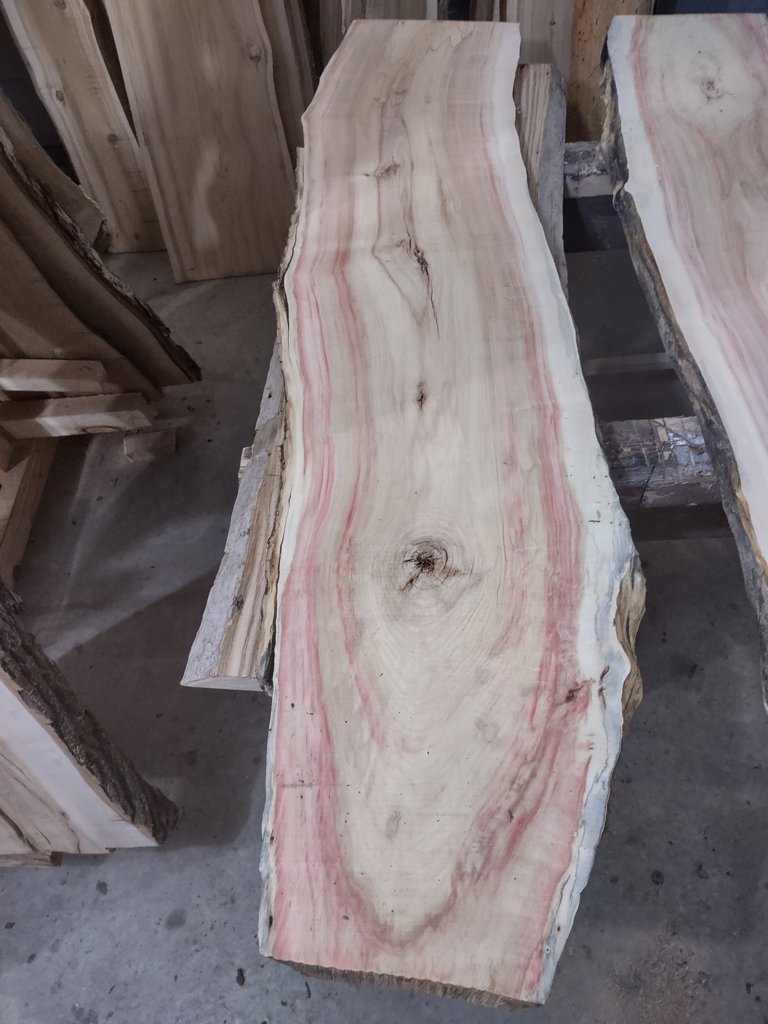 #2042 Boxelder