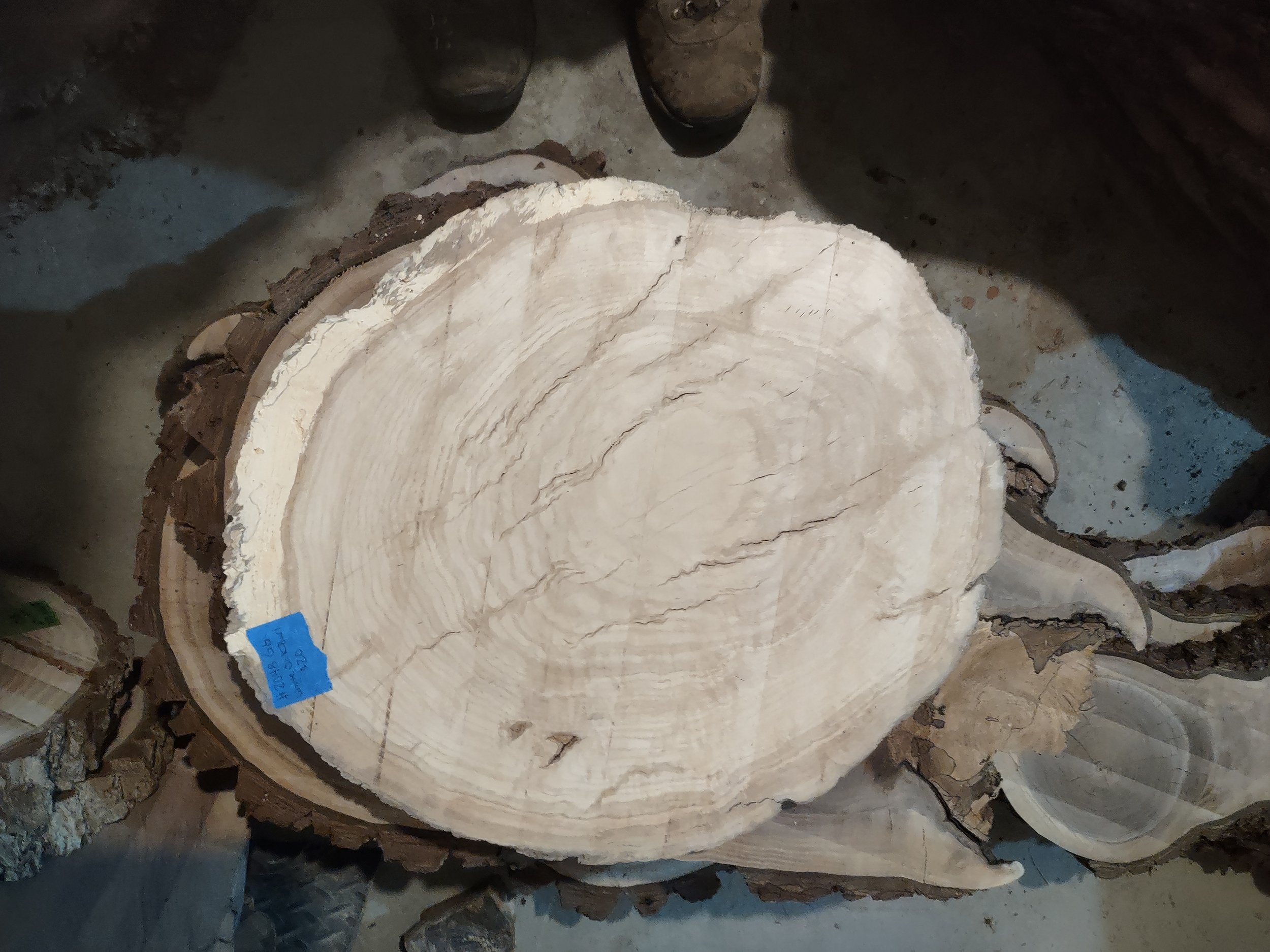 #2048 White Oak