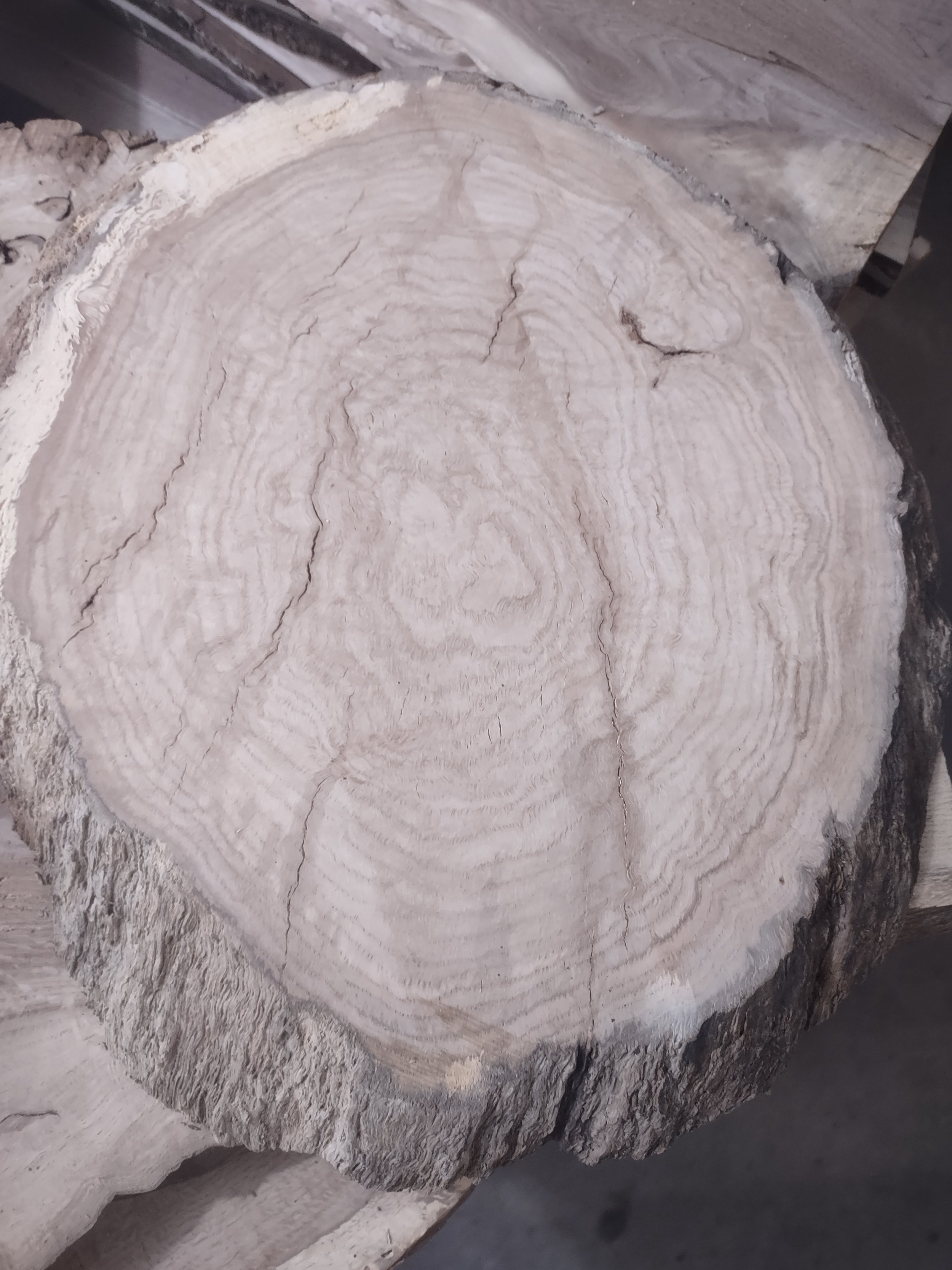 #2049 White Oak