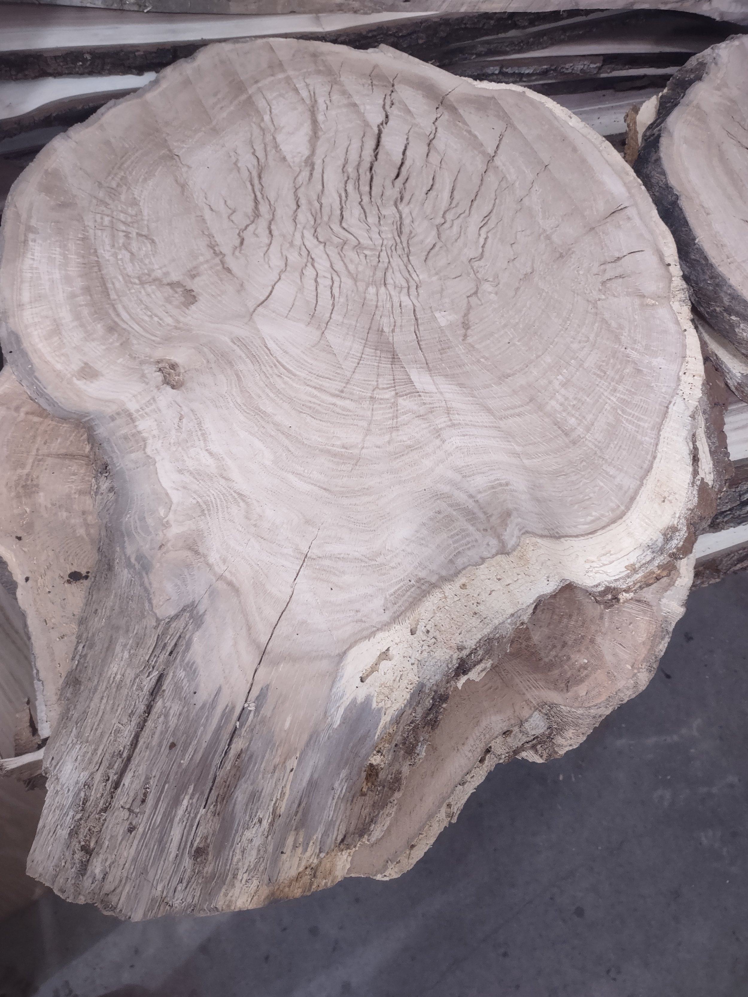 #2050 White Oak