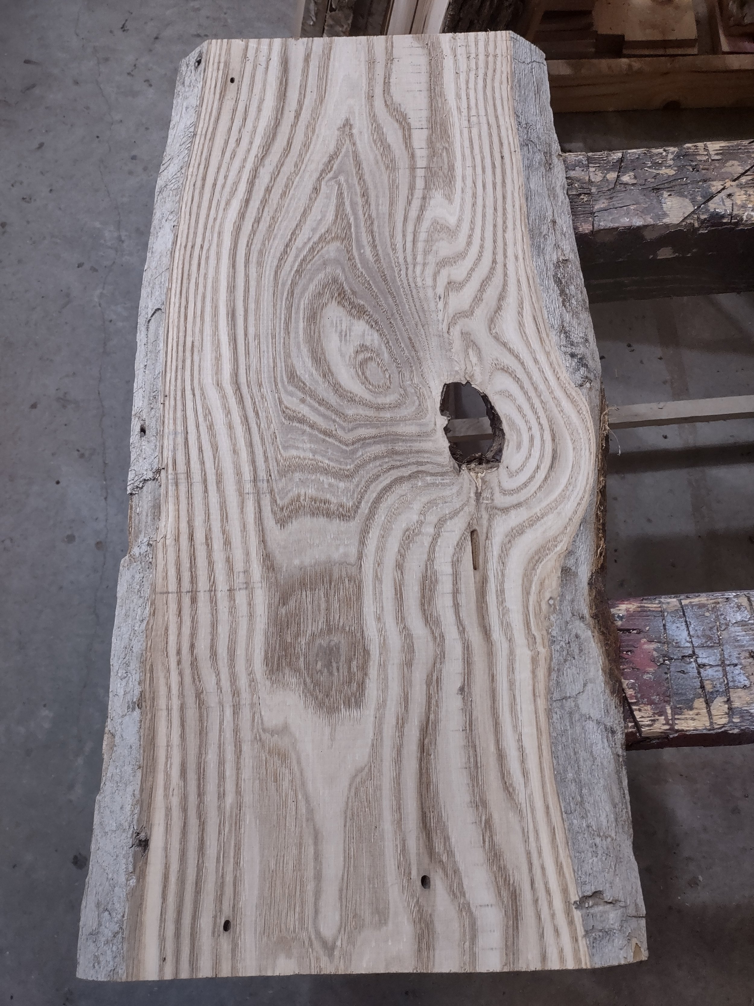 #2072 American Chestnut