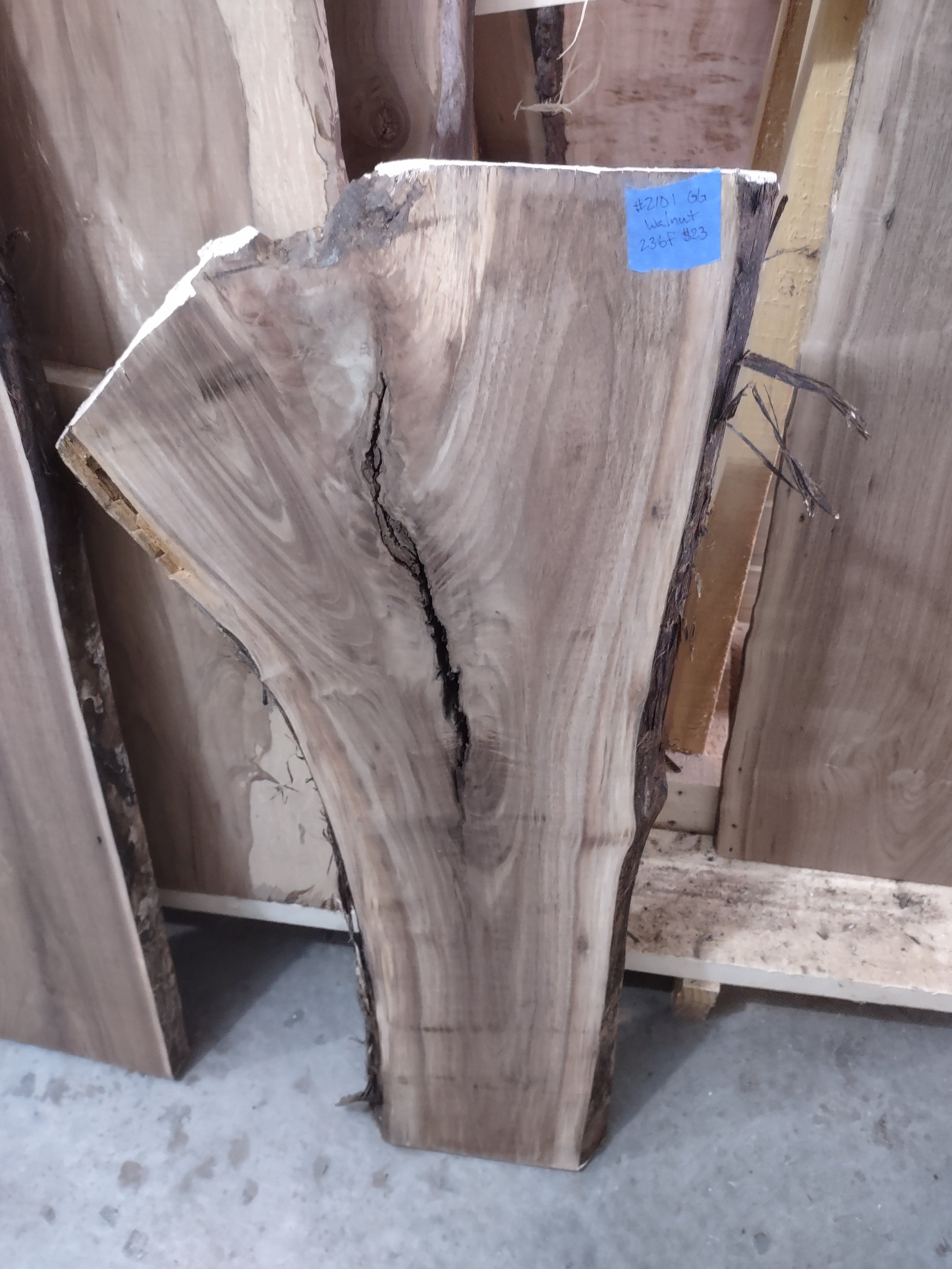 #2101 Walnut
