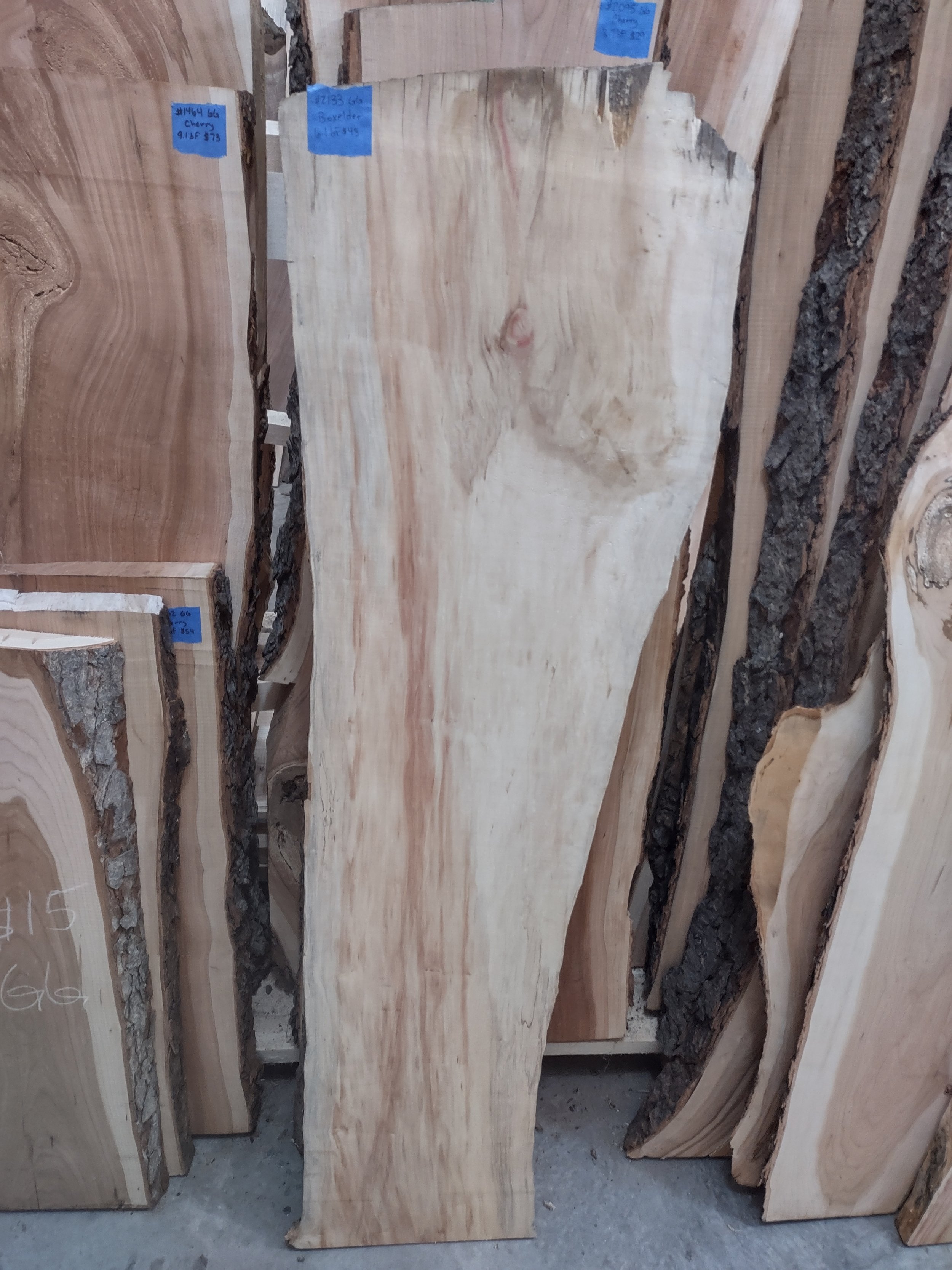 #2133 Boxelder