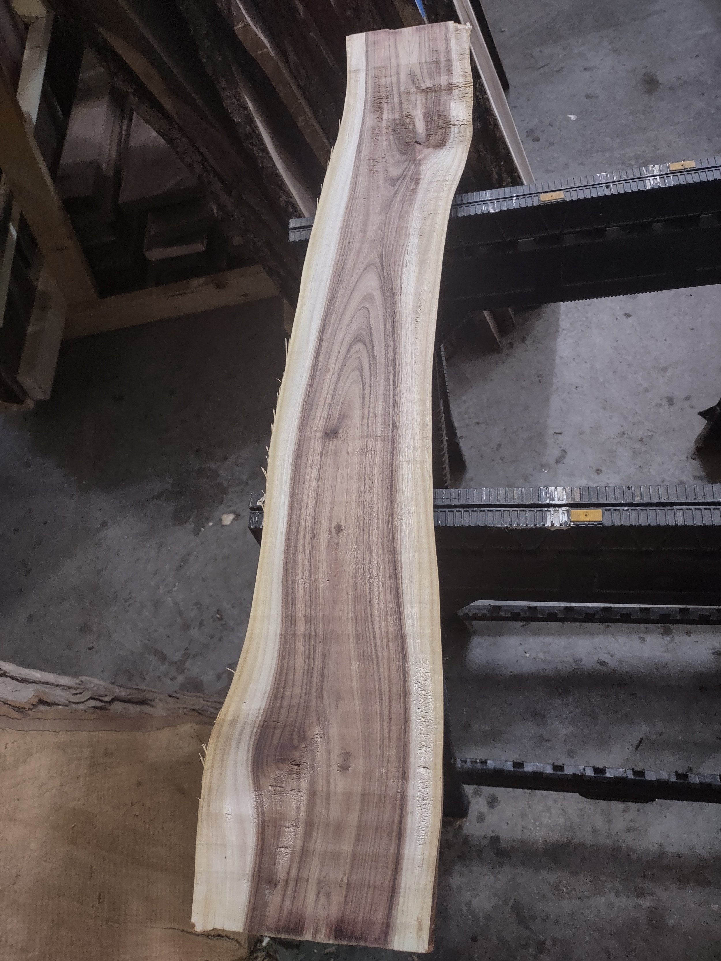 #2300 Black Acacia
