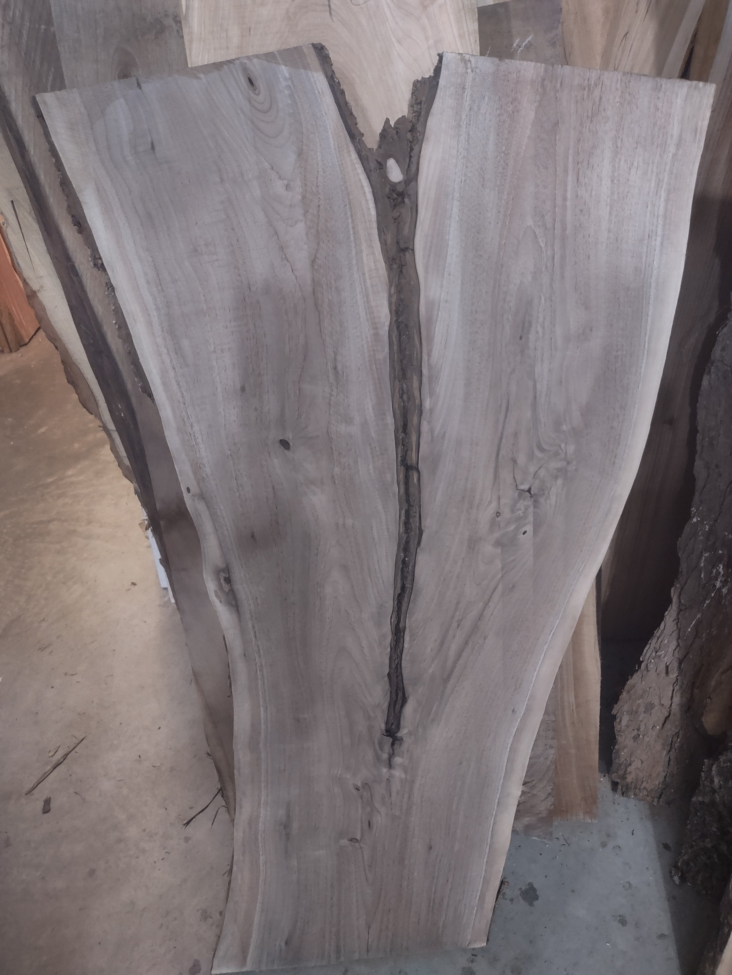 #2398 Walnut