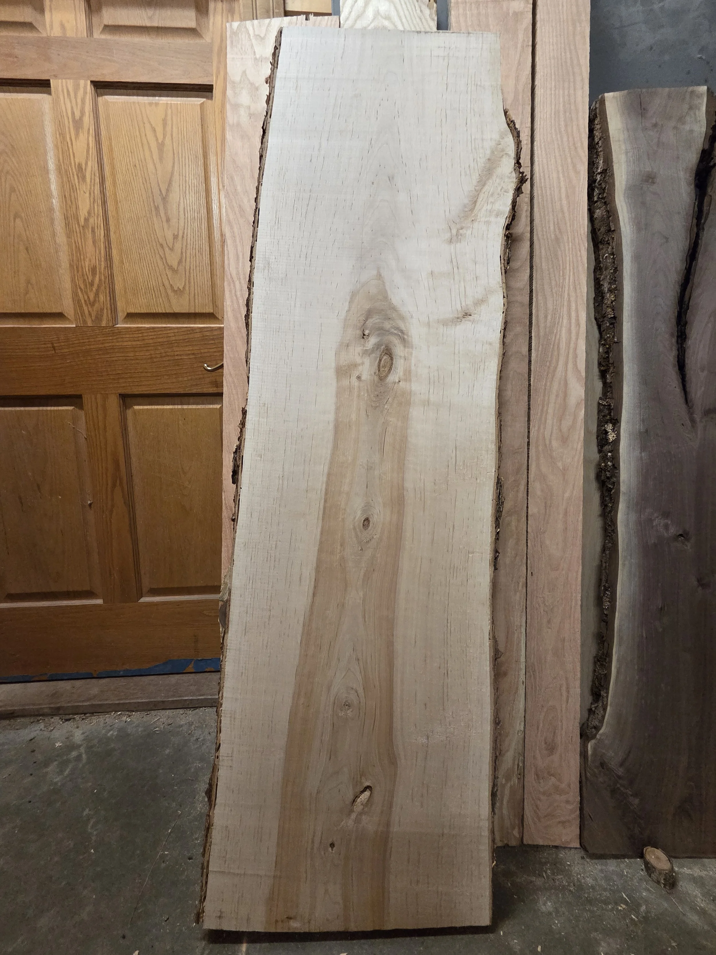 #4059 Swamp Birch