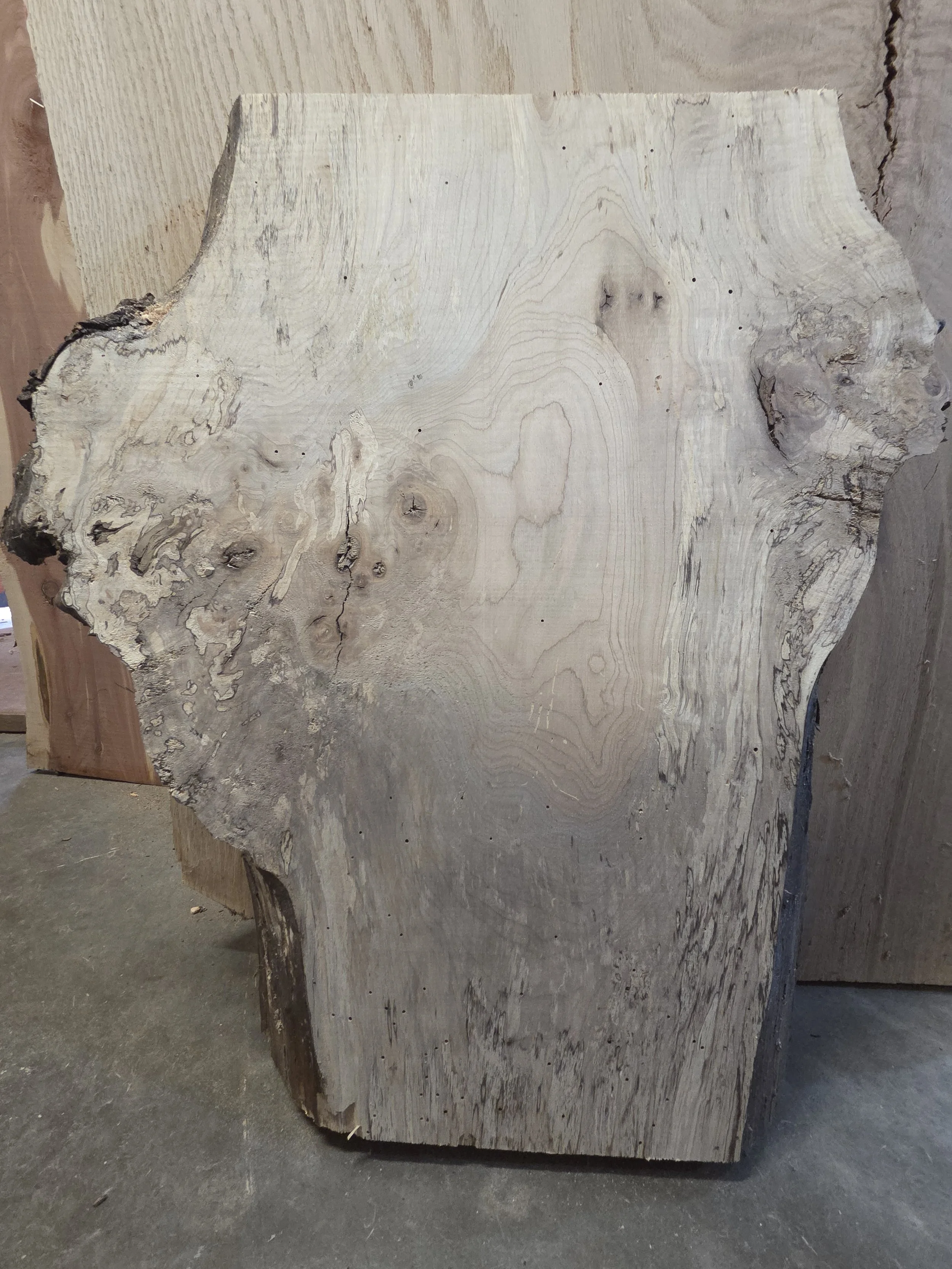 #3990 Maple Burl