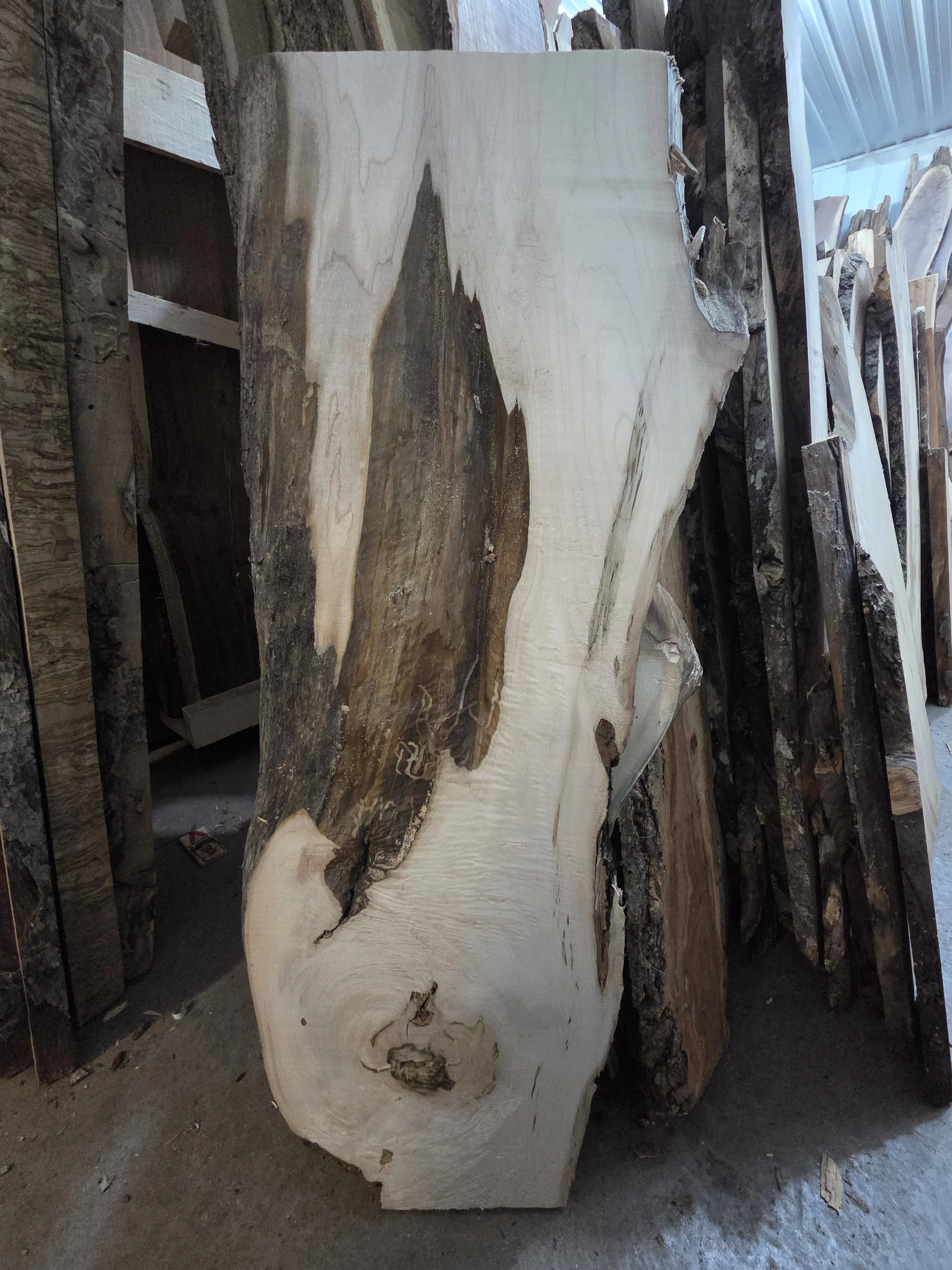 #4025 Hard Maple