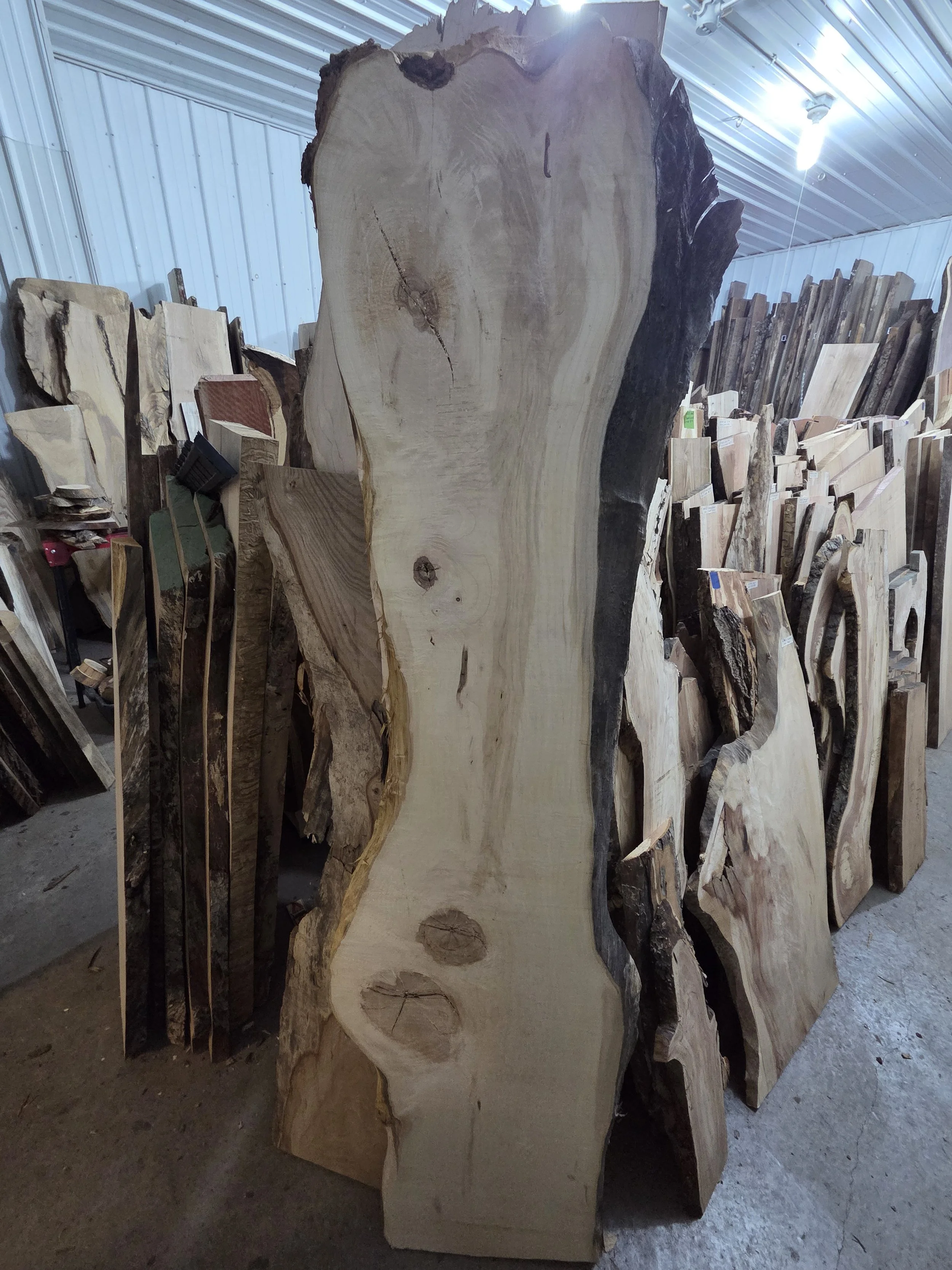 #4017 Hard Maple