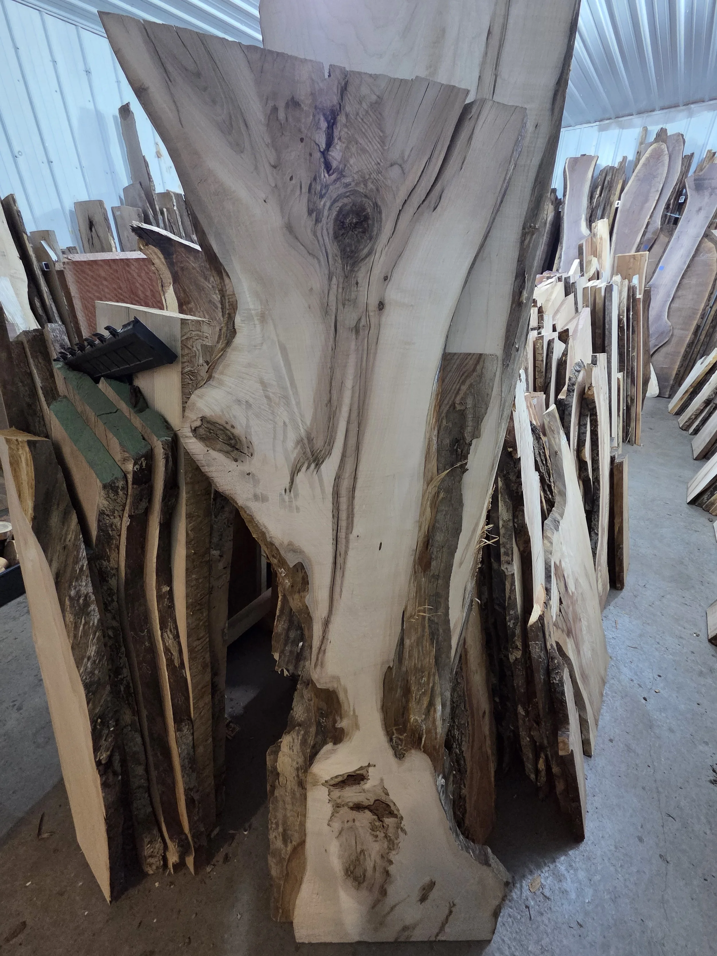 #4019 Hard Maple