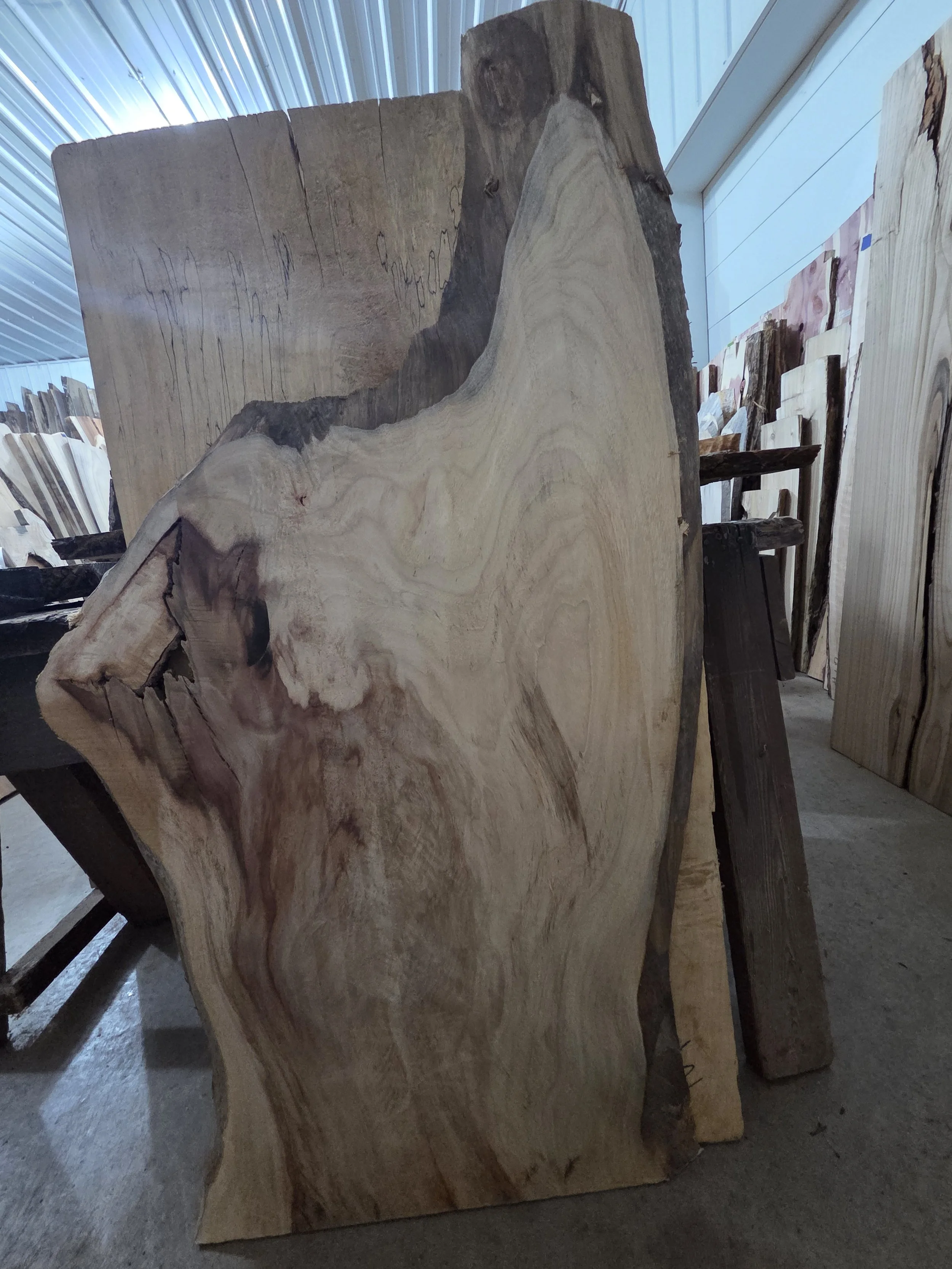 #3968 Camphor