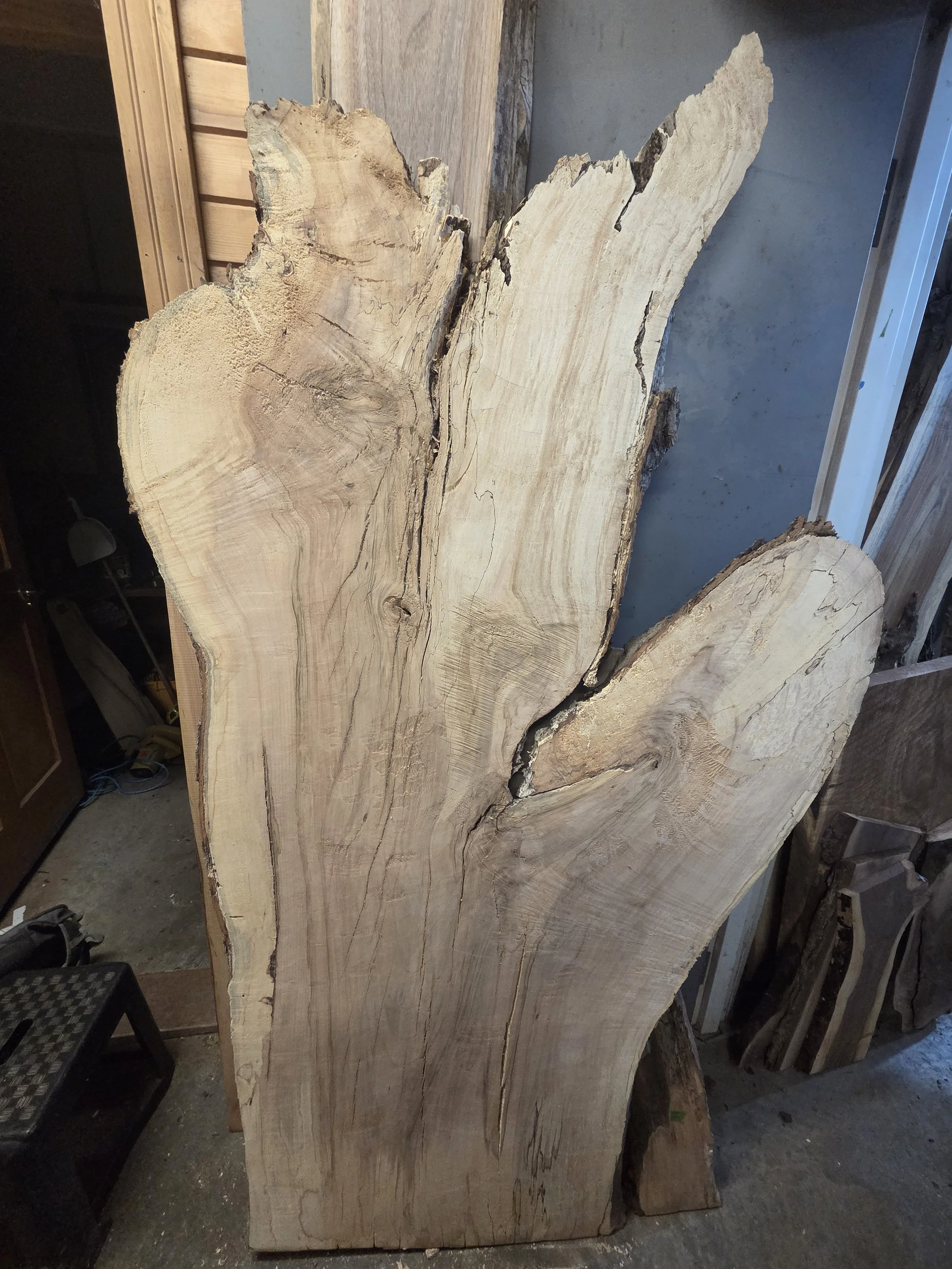#4045 Hard Maple