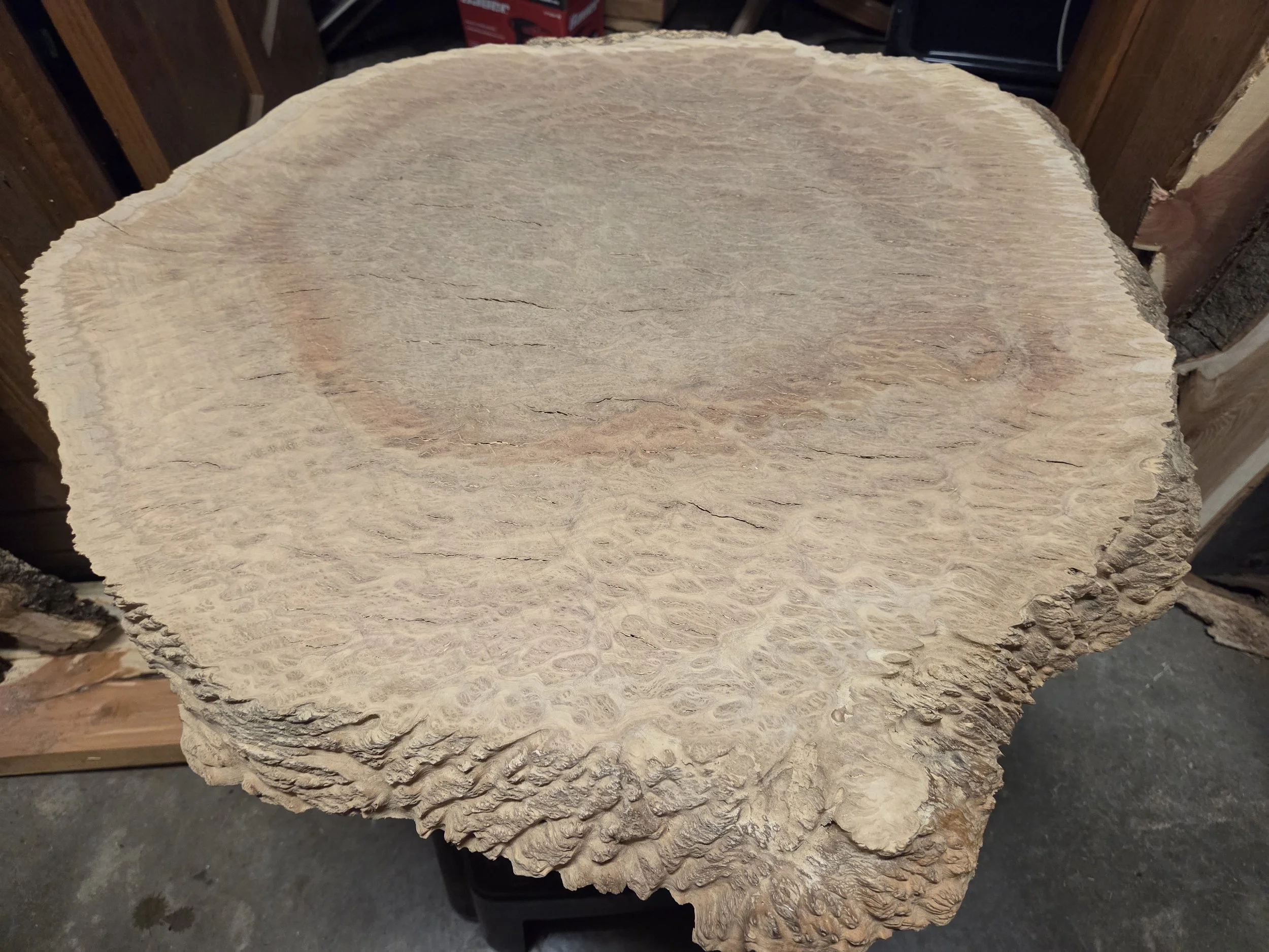 #3997 Yellow Box Eucalyptus Burl