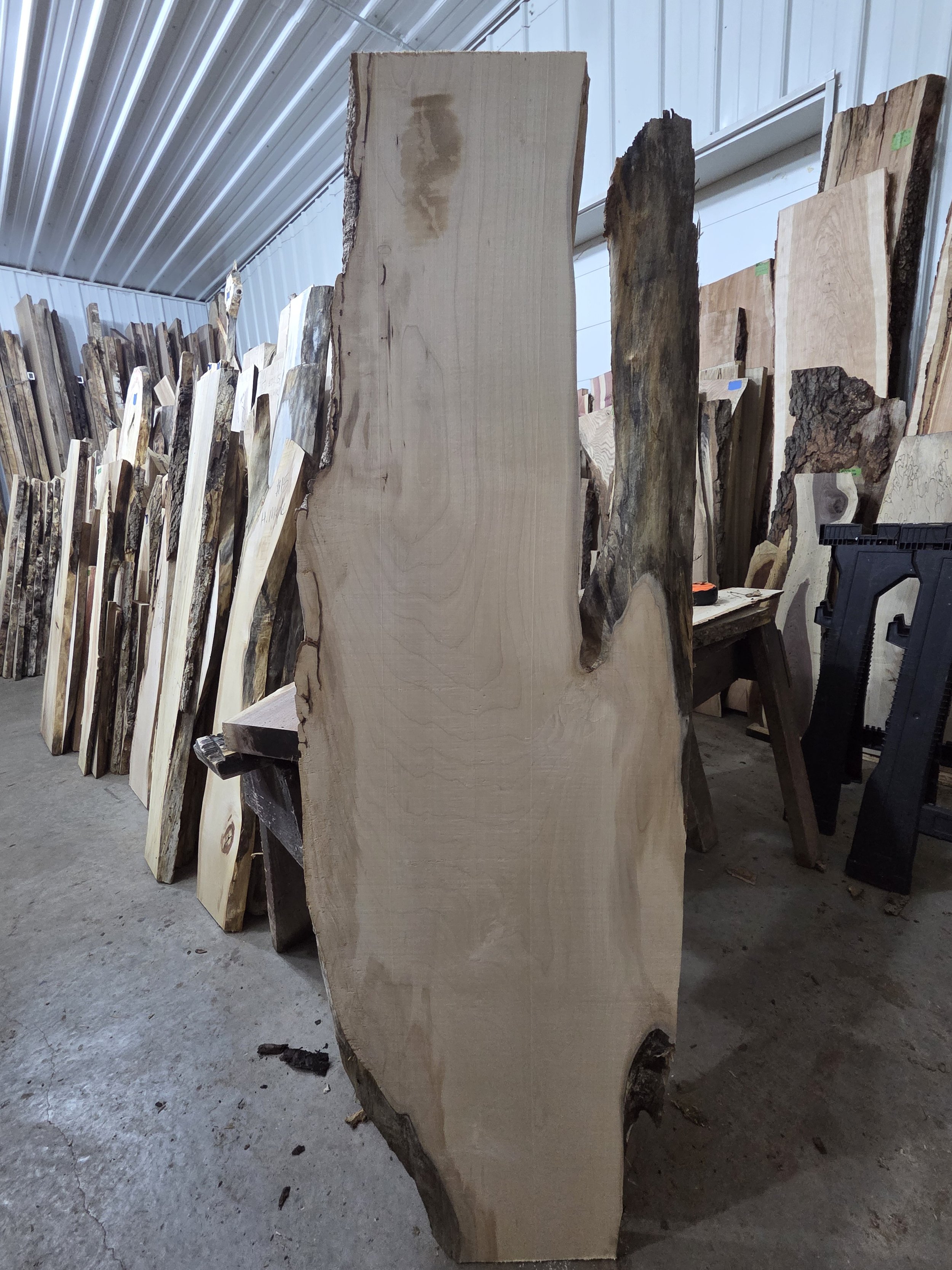 #4004 Hard Maple
