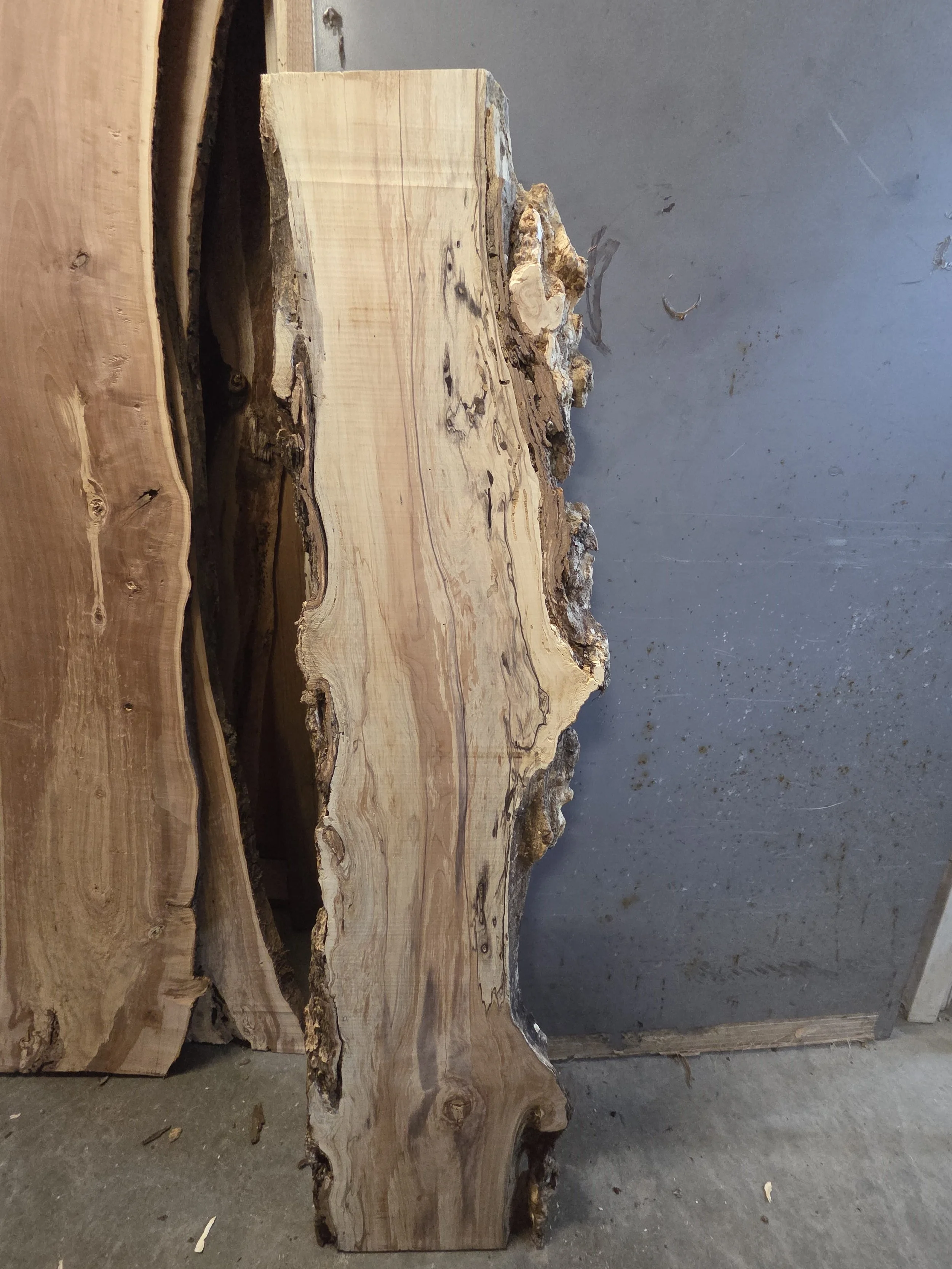 #3840 Hard Maple